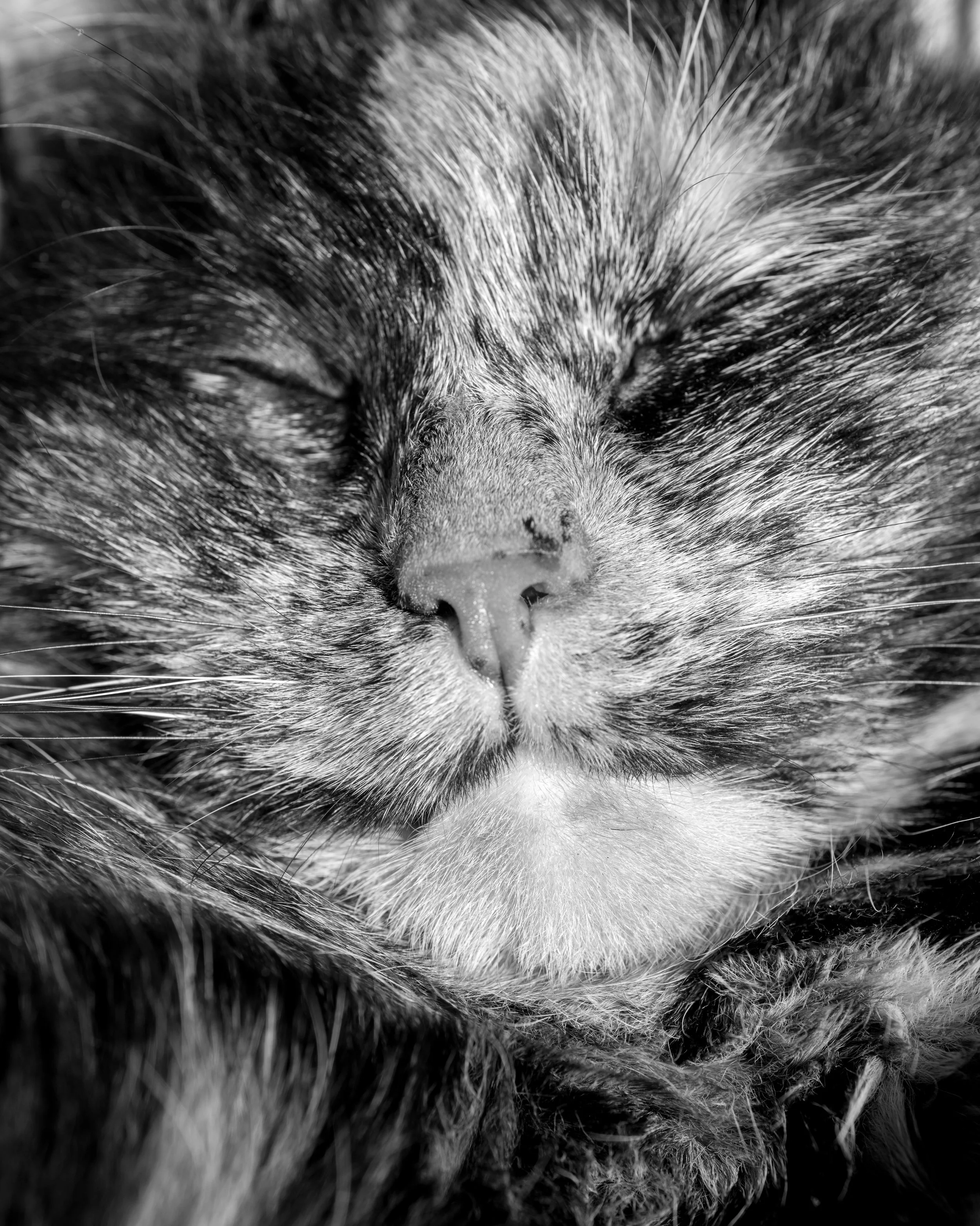 DSC_0452.jpg