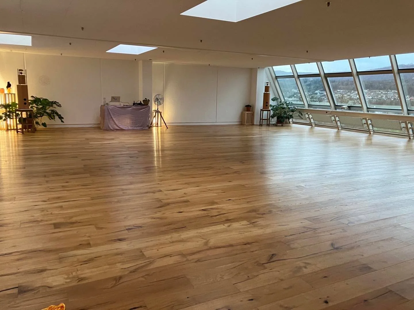 💕HerzFrequenz💕