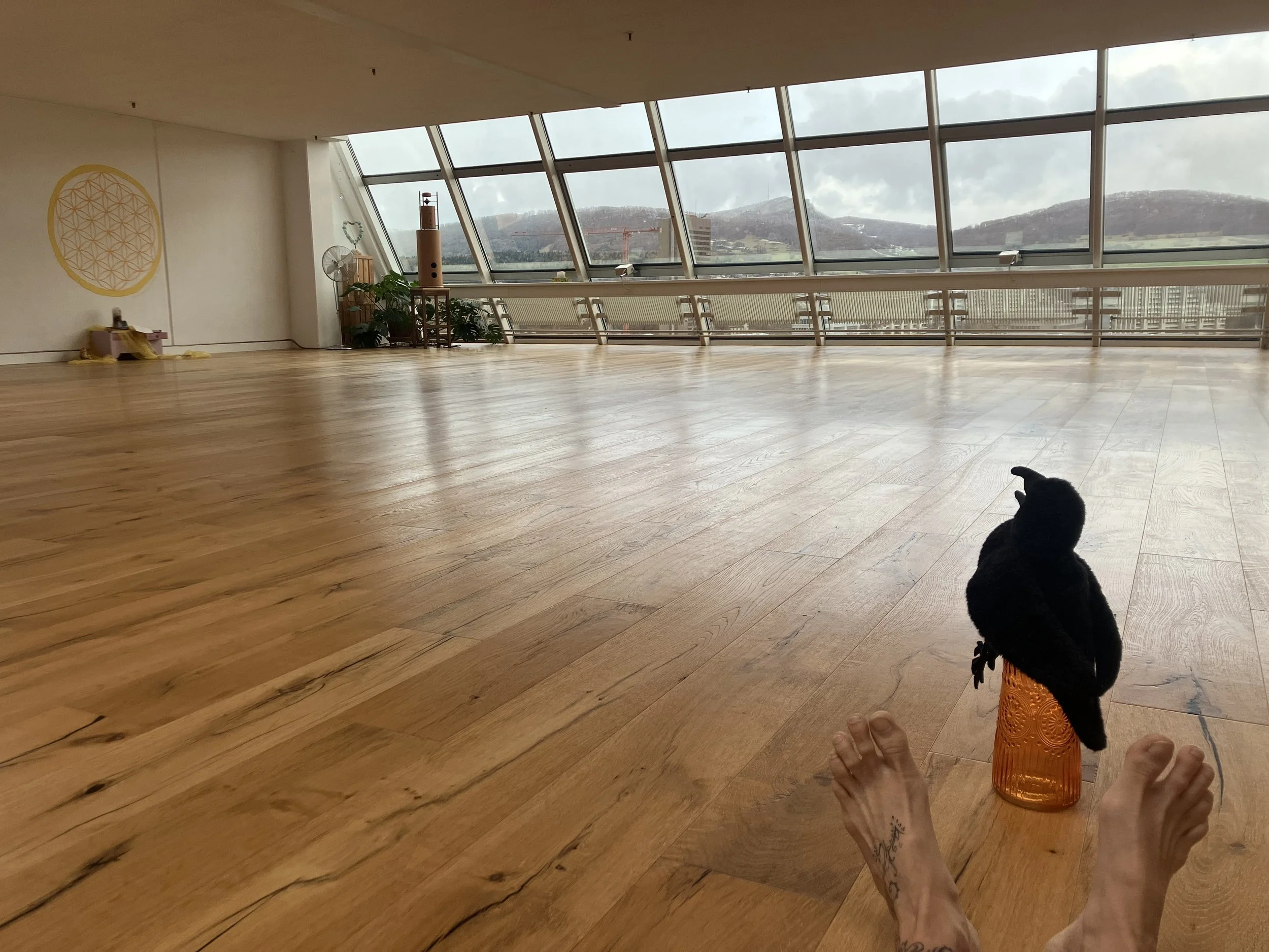  VERMIETUNG ich vermiete gerne die Herzfrequenz, teile diese wunderbare Location gerne mit Dir - melde Dich bei mir wenn Du Interesse hast. Kurz-, mittel- und oder langfristig möglich. Richtpreis ca chf 80.-/Stunde - wir können sehr gerne eine massge