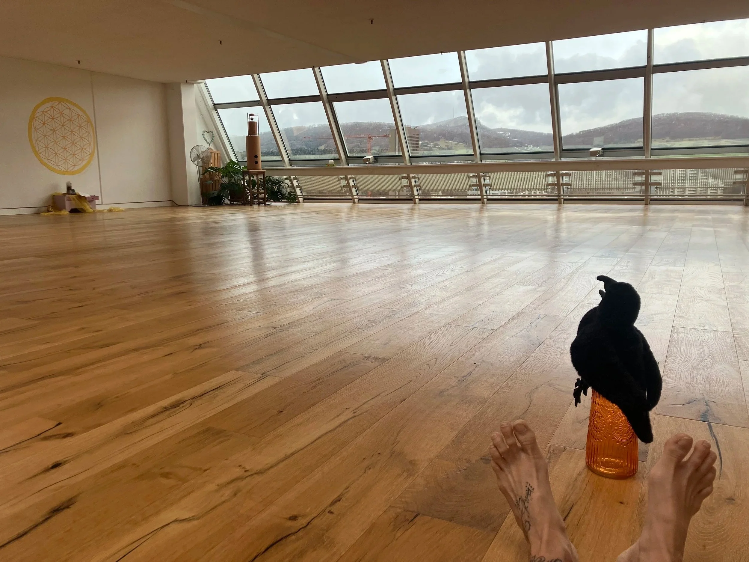  VERMIETUNG ich vermiete gerne die Herzfrequenz, teile diese wunderbare Location gerne mit Dir - melde Dich bei mir wenn Du Interesse hast. Kurz-, mittel- und oder langfristig möglich. Richtpreis ca chf 80.-/Stunde - wir können sehr gerne eine massge