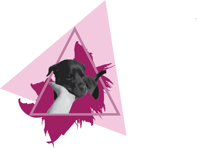 A friend's dog