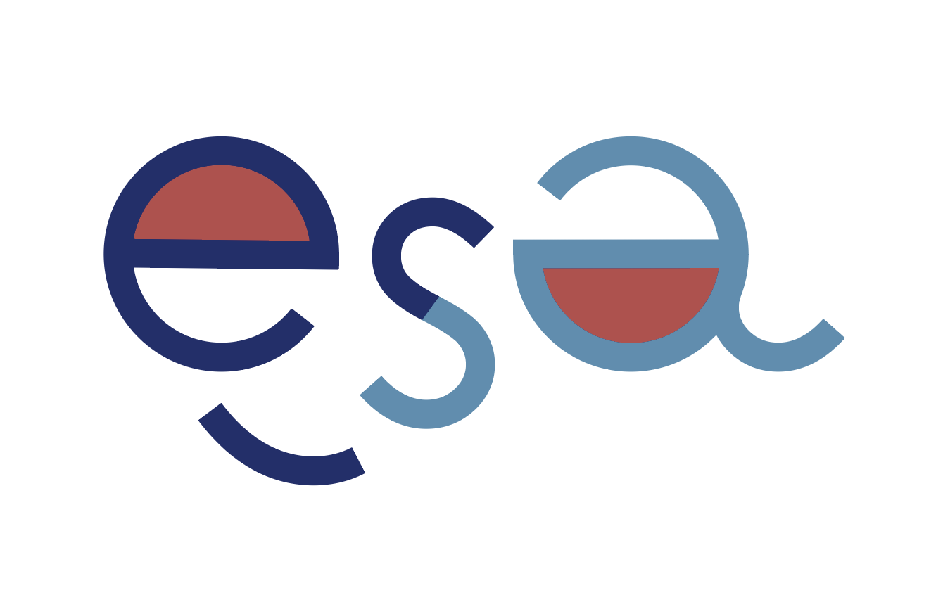  The new logo is very playful. I was inspired by Wes Anderson colors and styles of Europe. The letters used are not from a specific font. More specifically, the "a" is basically a reversed "e" and have an "s" stuck on the end of it as a tail to creat