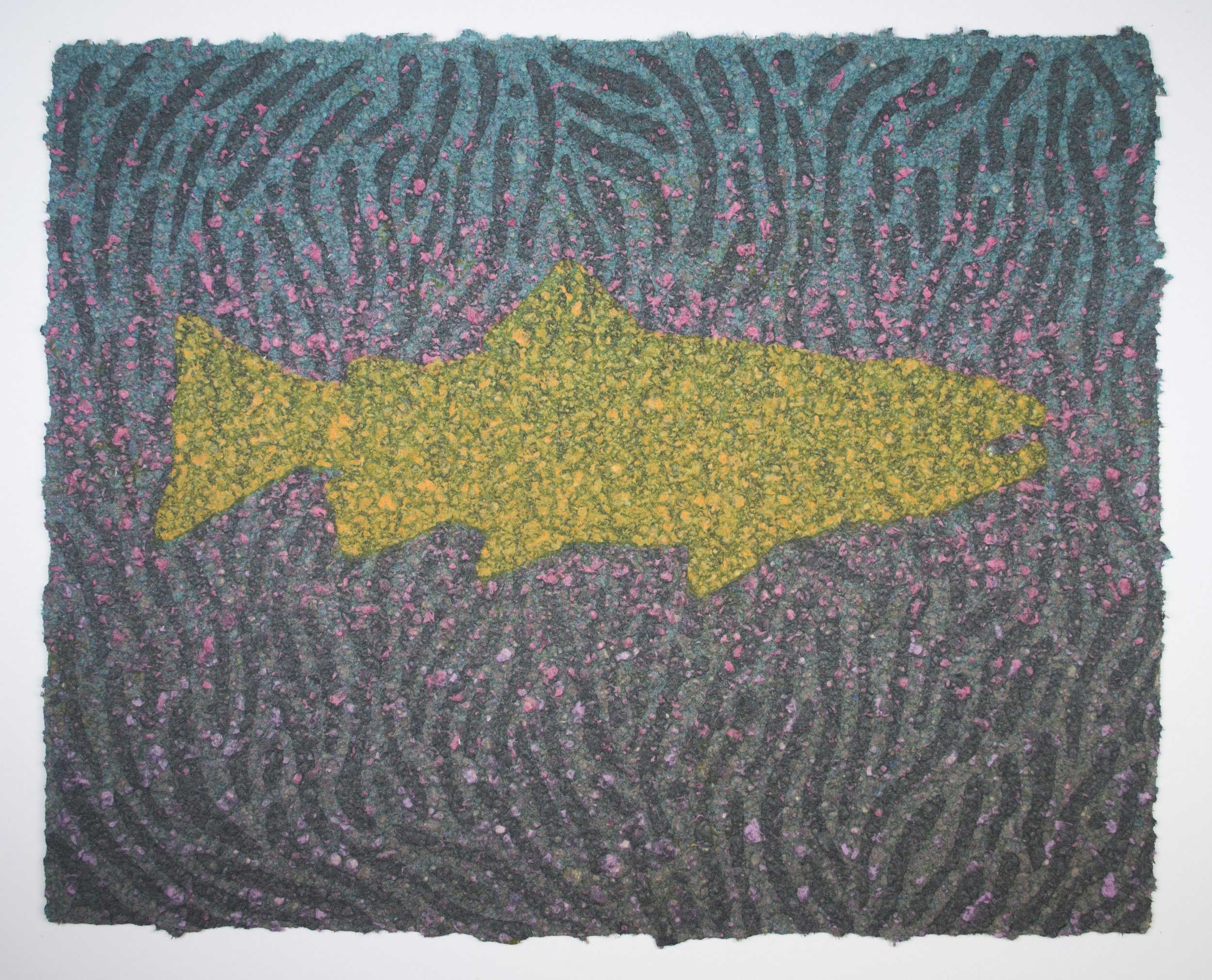 Hiding Trout I