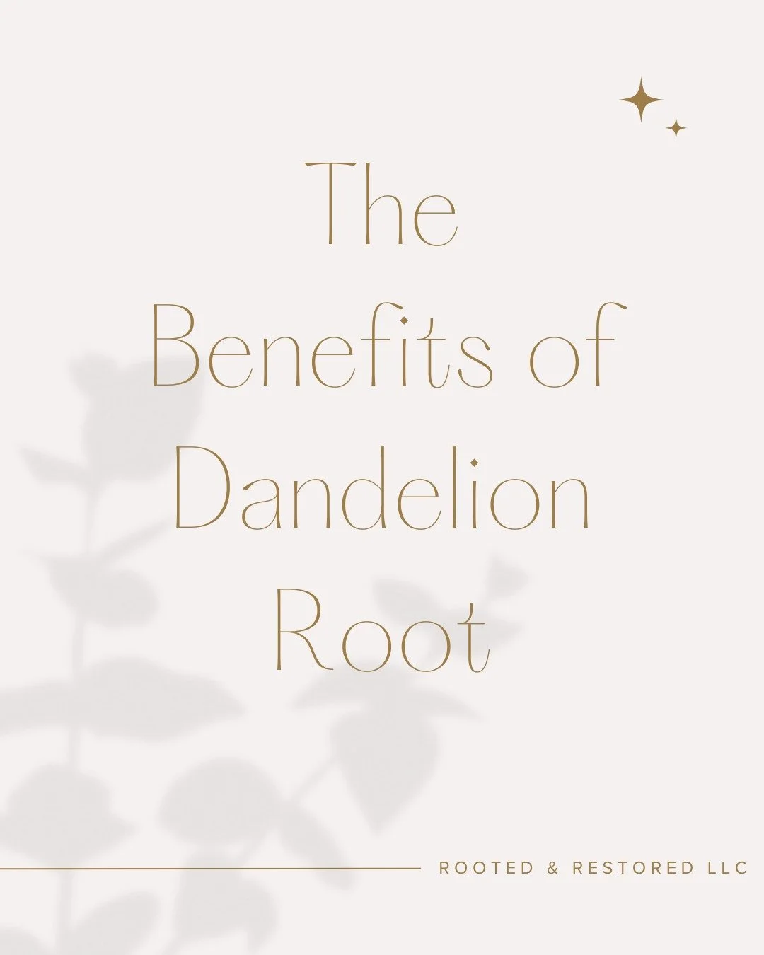Dandelion root - More than a &ldquo;weed,&rdquo; this humble plant has been used for generations as gentle daily support for digestion + detox pathways. 

I love dandelion root and brew it as a tea. It's a staple in my tea stash! 

Rooted wellness do