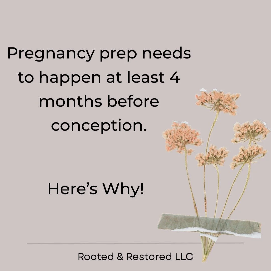 Pregnancy prep is so important. And it's just not talked about. Rooted to Conceive is a 16 week week program to prep you and your partners body for pregnancy. Whether you are getting ready to start, on your 3rd pregnancy or have been on your fertilit