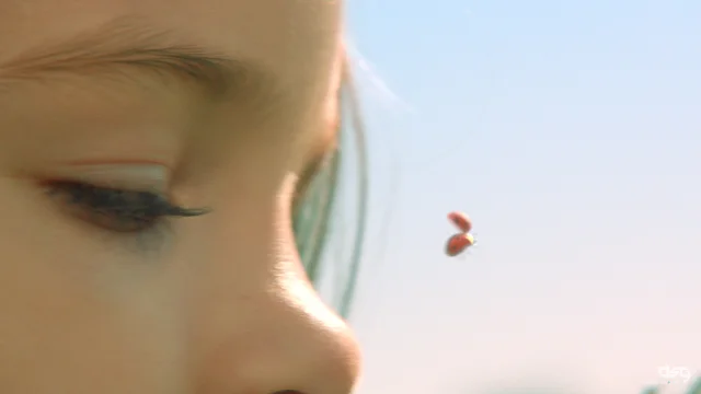 VP_CompShowreel_2008__007.jpg