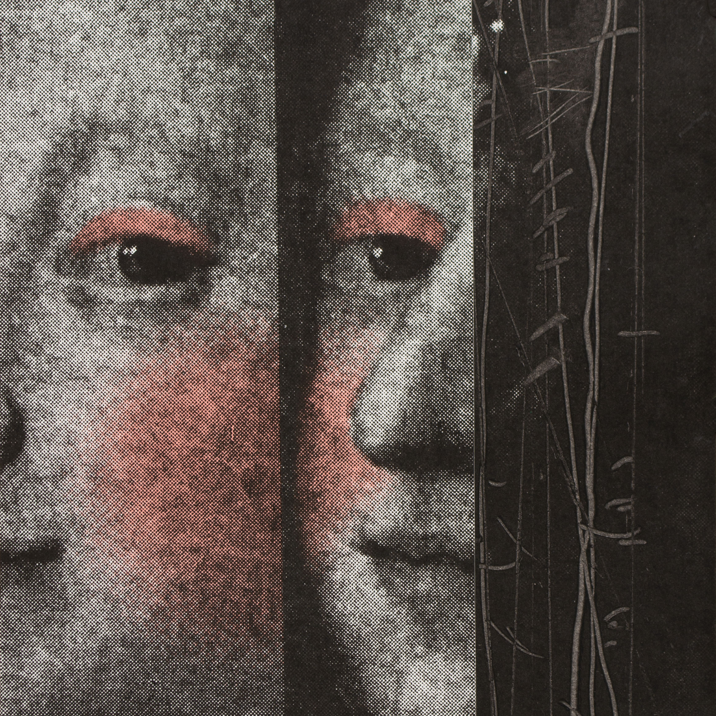 duchess-narrow-collage-2324px.jpg