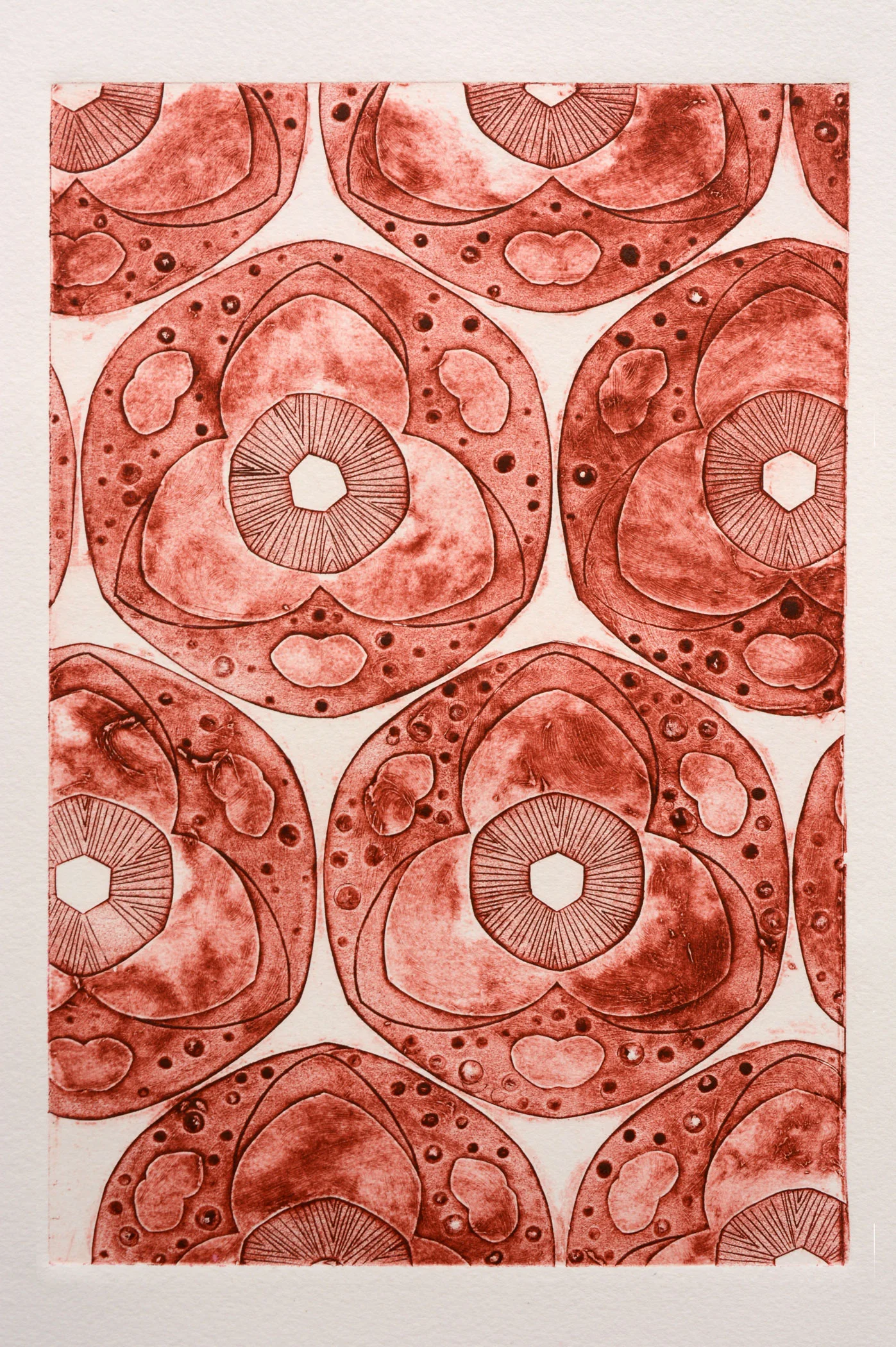 cellular1-2100px.jpg