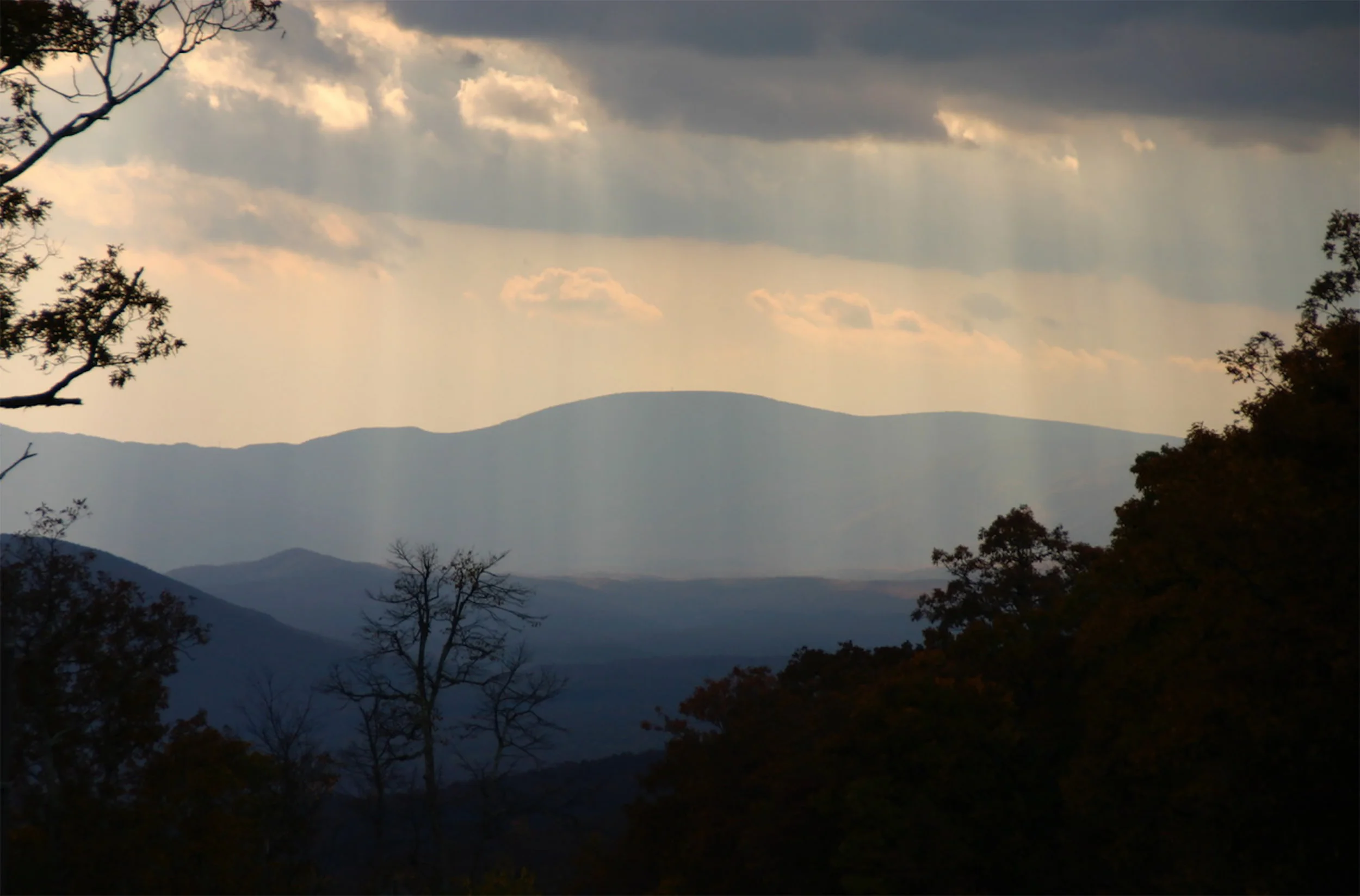 Scenic 2a.jpg