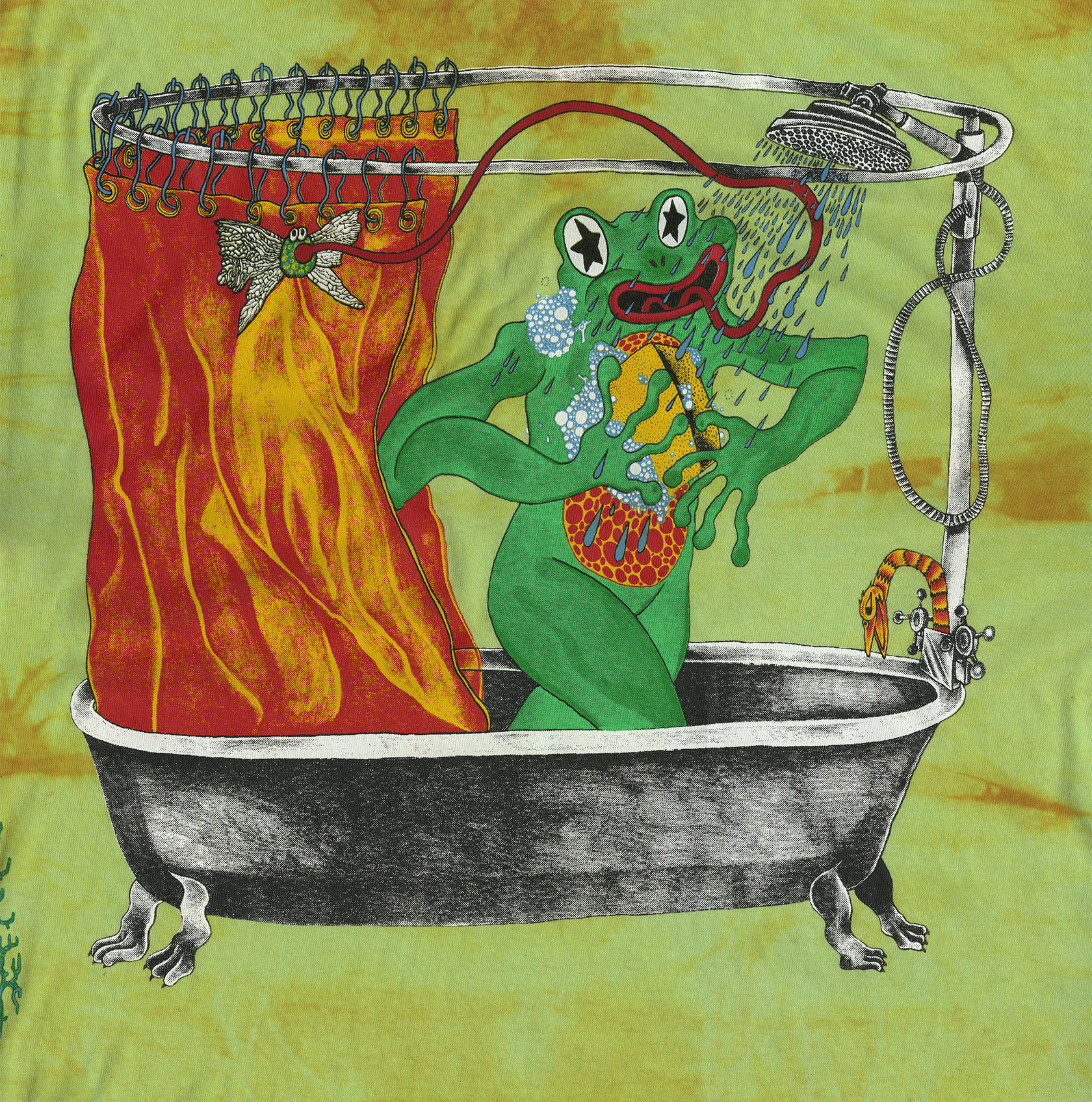 domesticated swamp FROG BACK .png