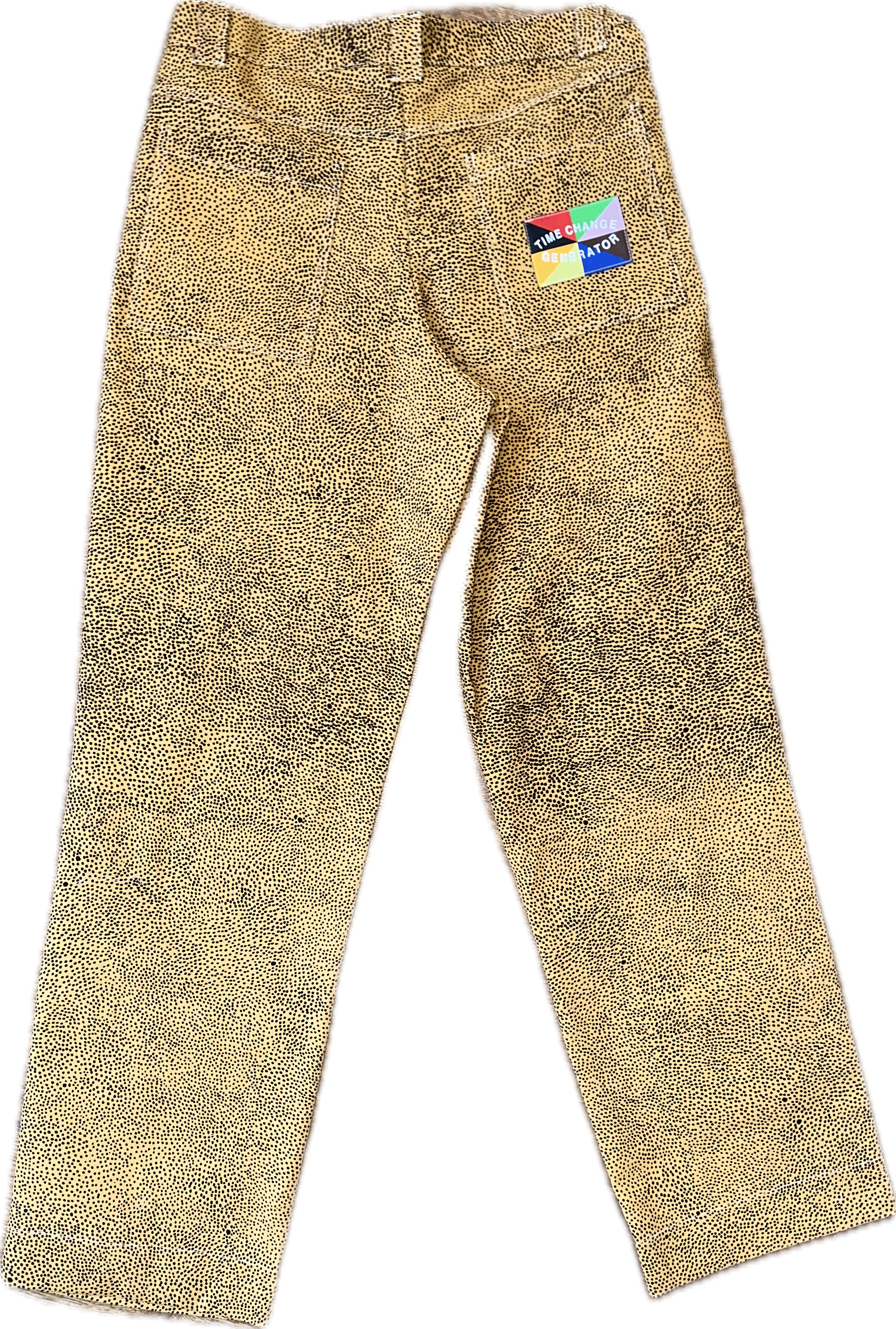 back _ Big Dotty carpenter pants winter 2025.png