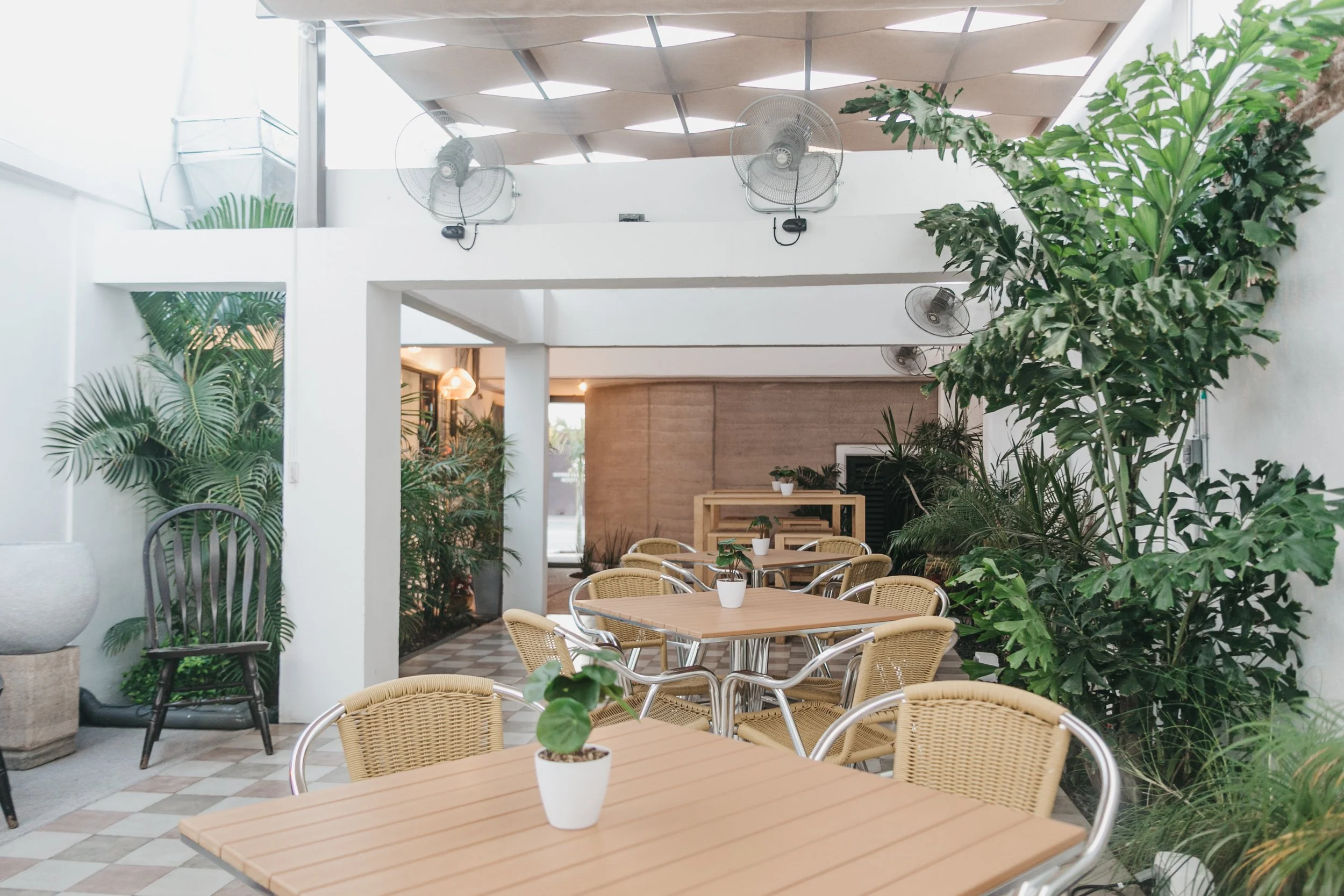 Copia de IMG_6536.jpg