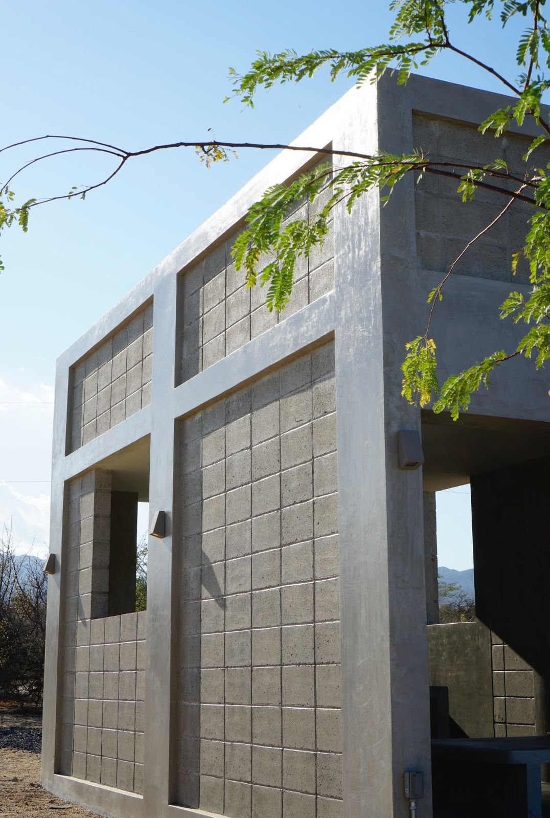 PHOTO-2024-10-20-17-38-25 2.jpg