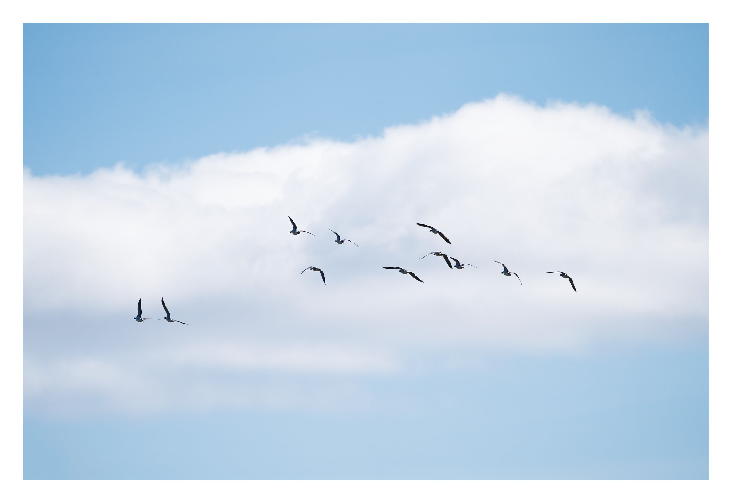 Into the Blue - ROGER HØLMEN PHOTOGRAPHY