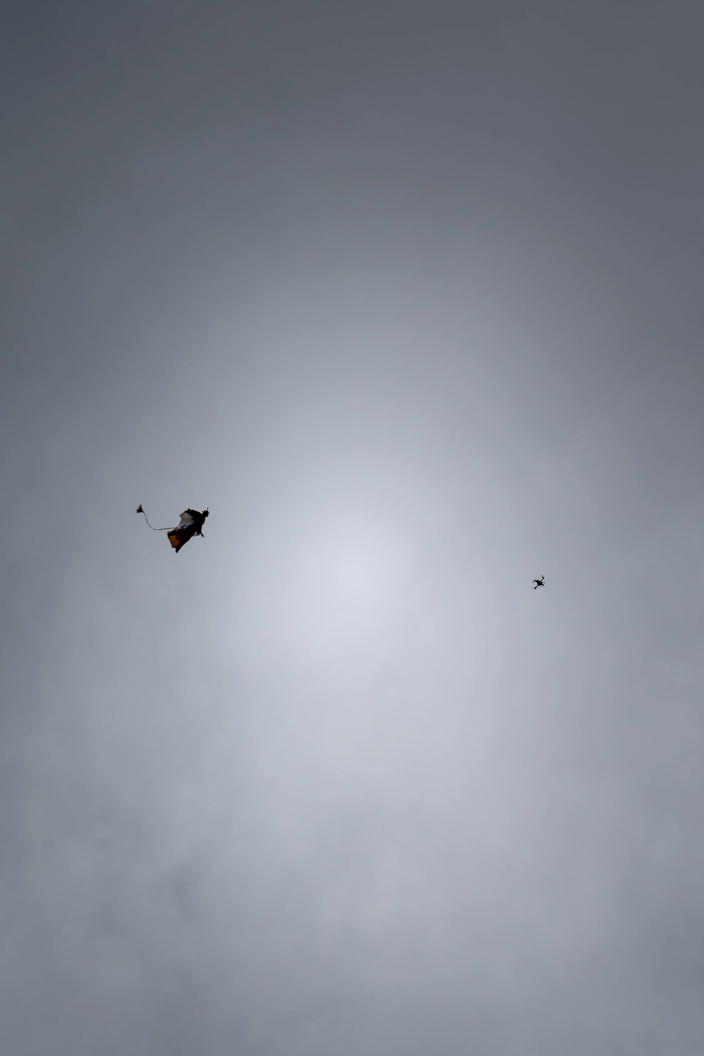 A person in a wingsuit flying through the sky with a drone nearby