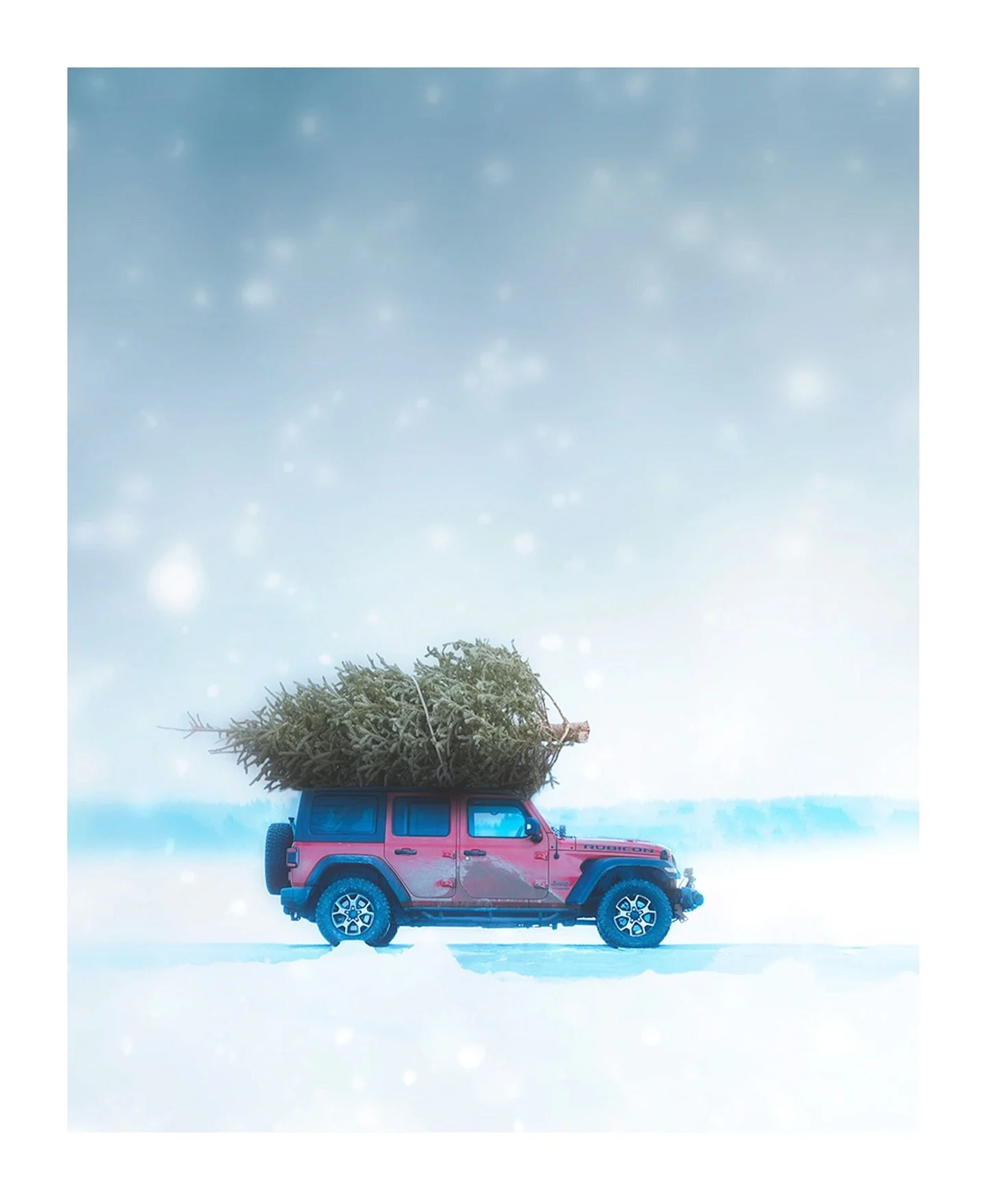 🌲✅ 

It&rsquo;s that time of the year again&hellip; driving home for Christmas 🎅