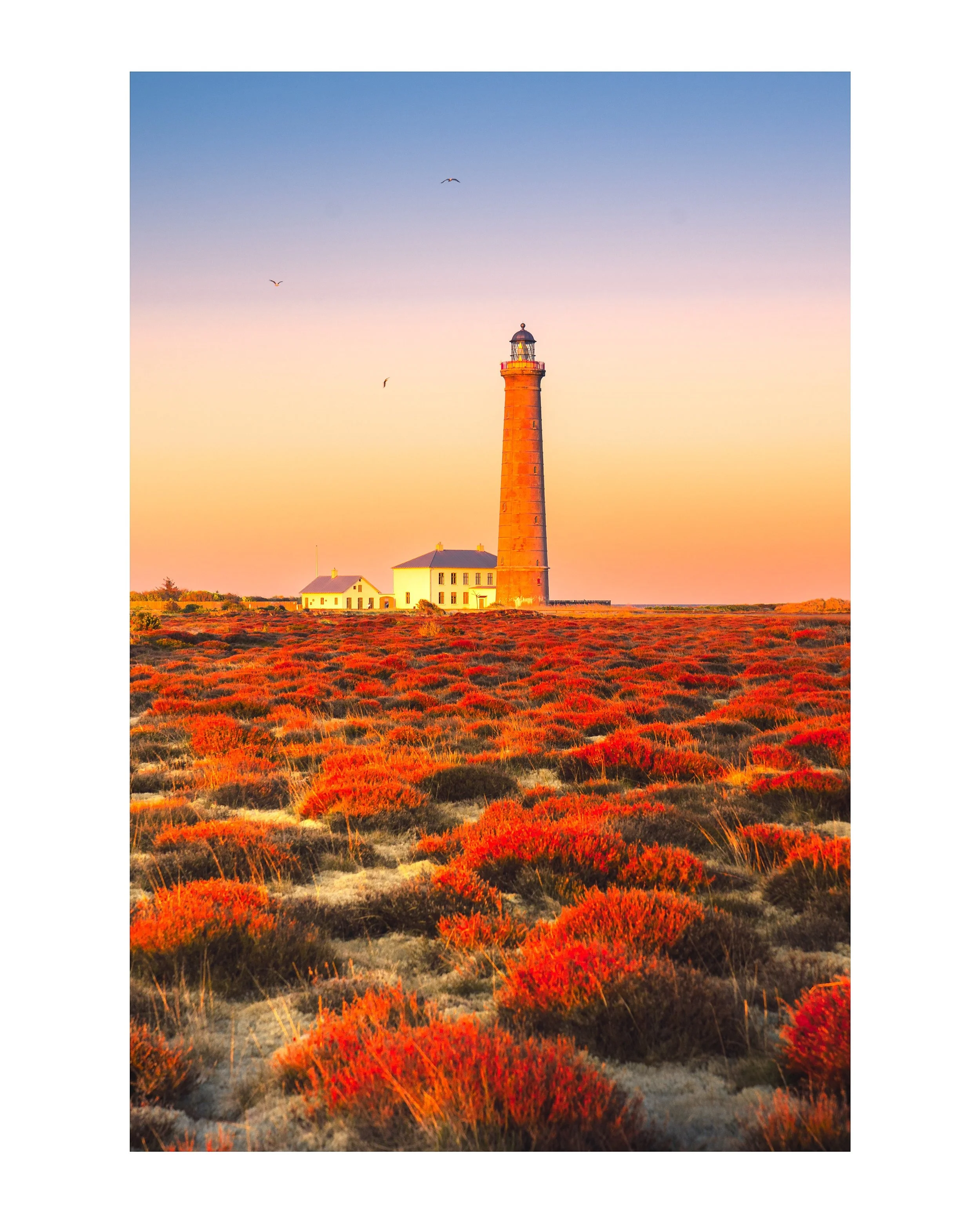 📍 Det Gr&aring; Fyr, Skagen, Denmark 🇩🇰
There&rsquo;s something special about the last light of the day.
As the sun dipped below the horizon, the landscape around Det Gr&aring; Fyr transformed into a sea of glowing colors. Moments like this remind