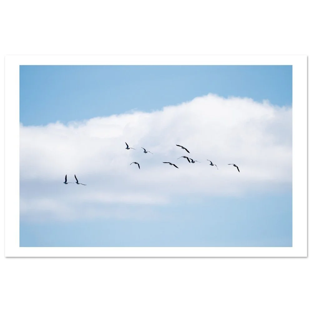 Into the Blue - ROGER HØLMEN PHOTOGRAPHY