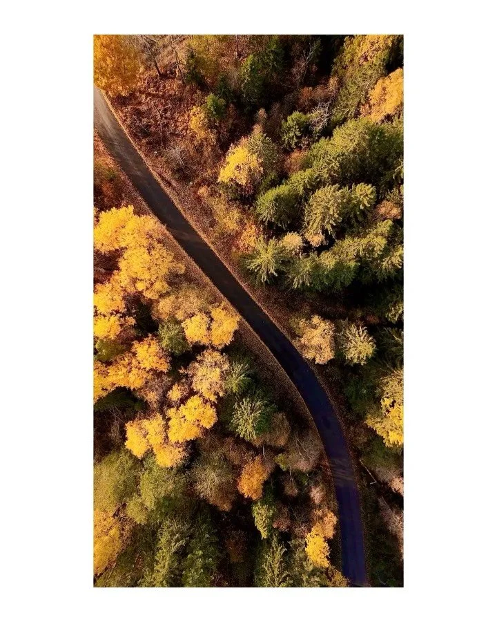 Part 2 &mdash; getting a little more creative. 🍂

Once the classic shots were done, I could start exploring the 911 in a different way &mdash; slower shutter speeds, black &amp; white edits, tighter details and a few aerial perspectives.

Big thanks