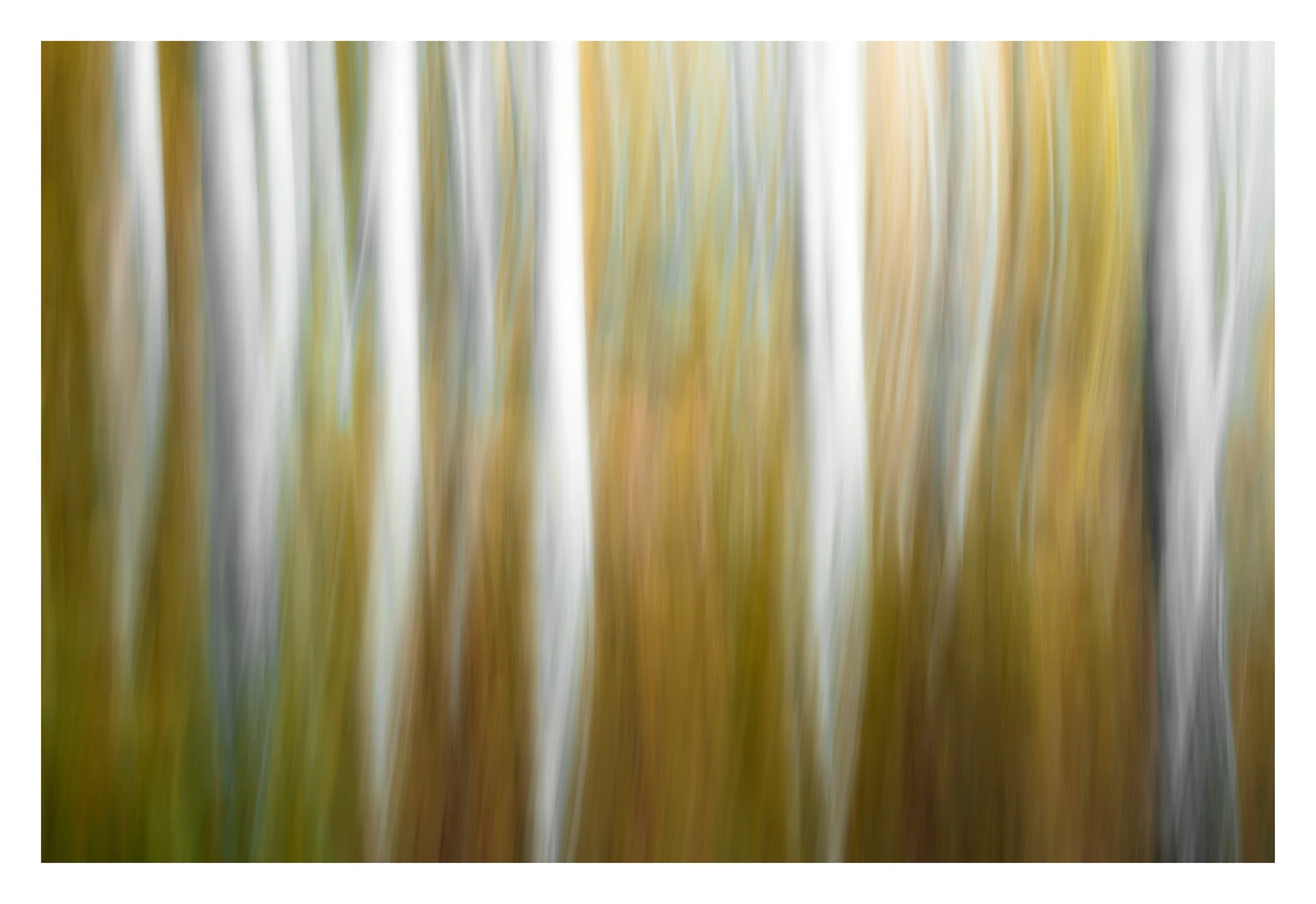 Quiet Motion IV