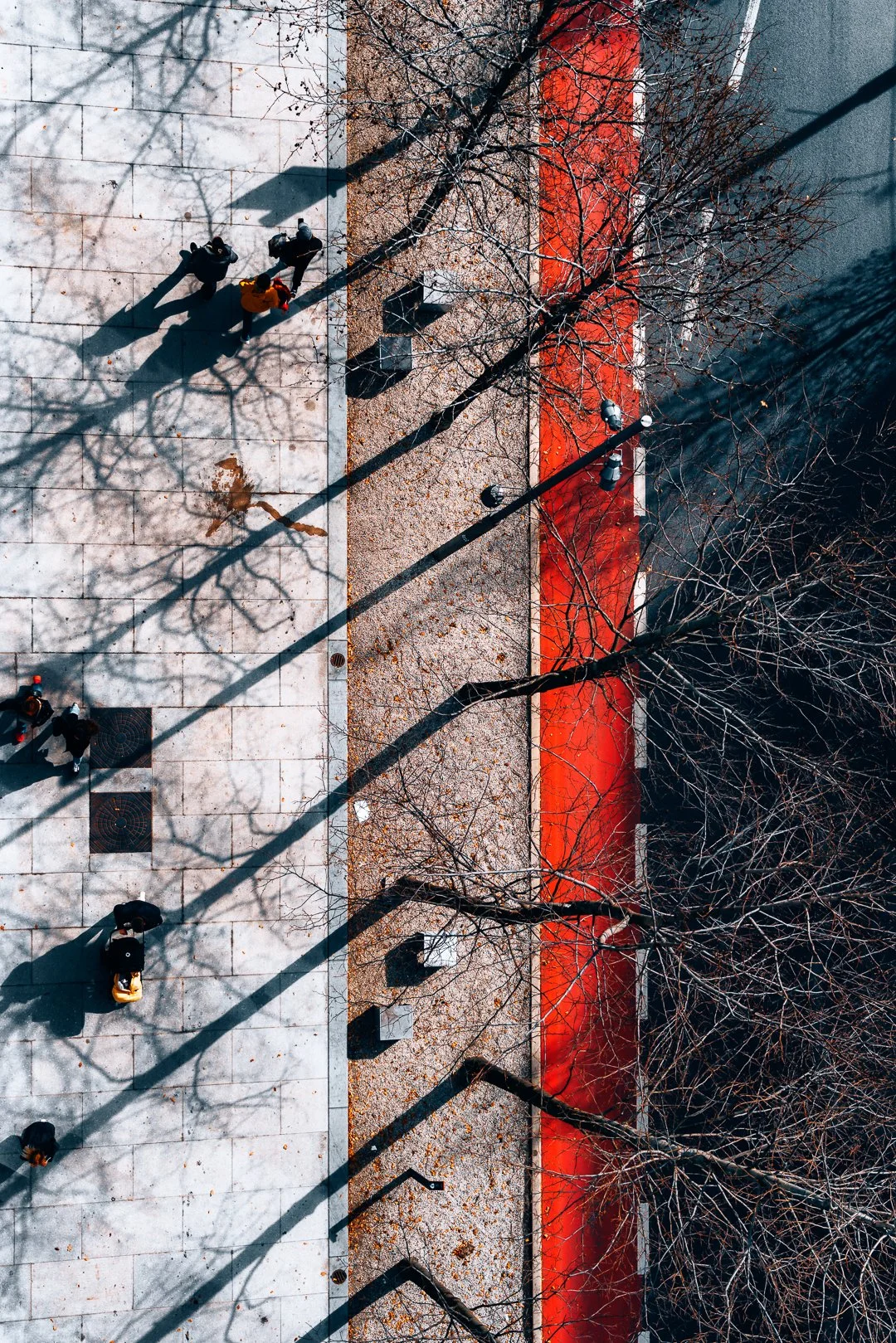 From an aerial view, a wide sidewalk with some pedestrians walking and carrying bags, leafless trees casting shadows, a red-painted curb, leaf-covered ground, and street lamps.