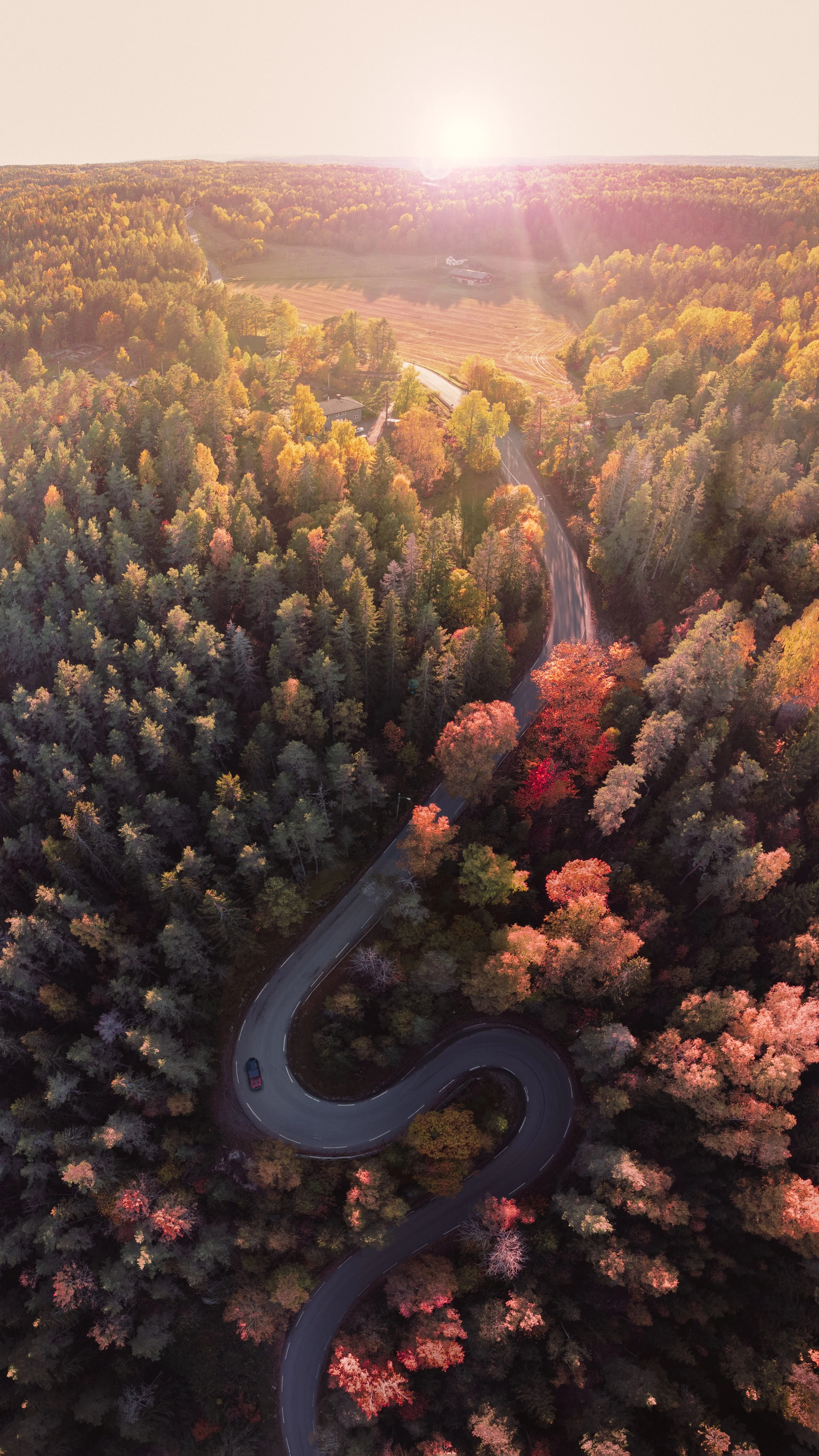 An aerial view of a winding road through a forest with trees displaying fall colors and a sunset in the background. DJI Panorama Photo.