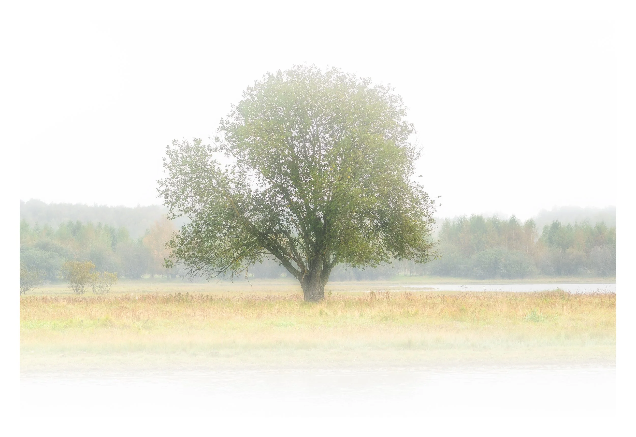Morning Silence_900x600_Hvitramme_RHP7478.jpg