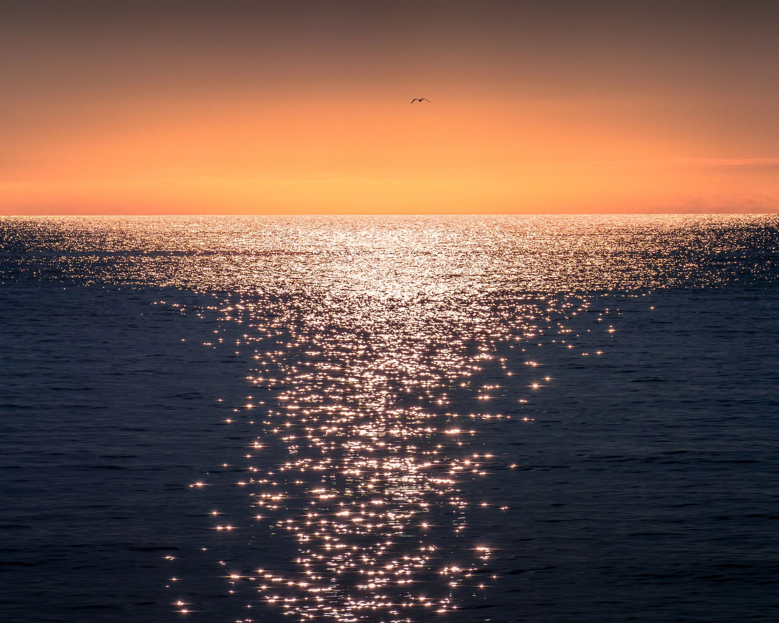 Sunset over the ocean with a pink and orange sky, a flying bird, and shimmering water reflecting the sunlight.