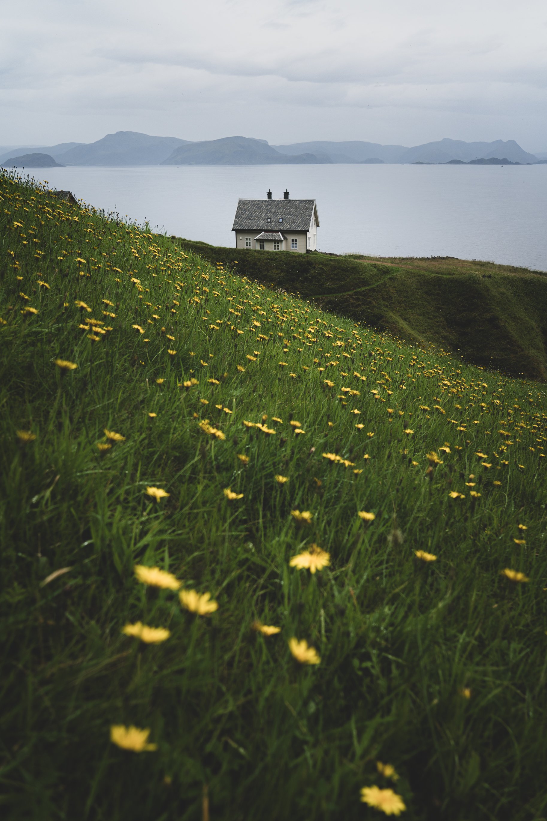 A house on a grassy hillside with yellow flowers, overlooking a body of water and distant islands under a cloudy sky.