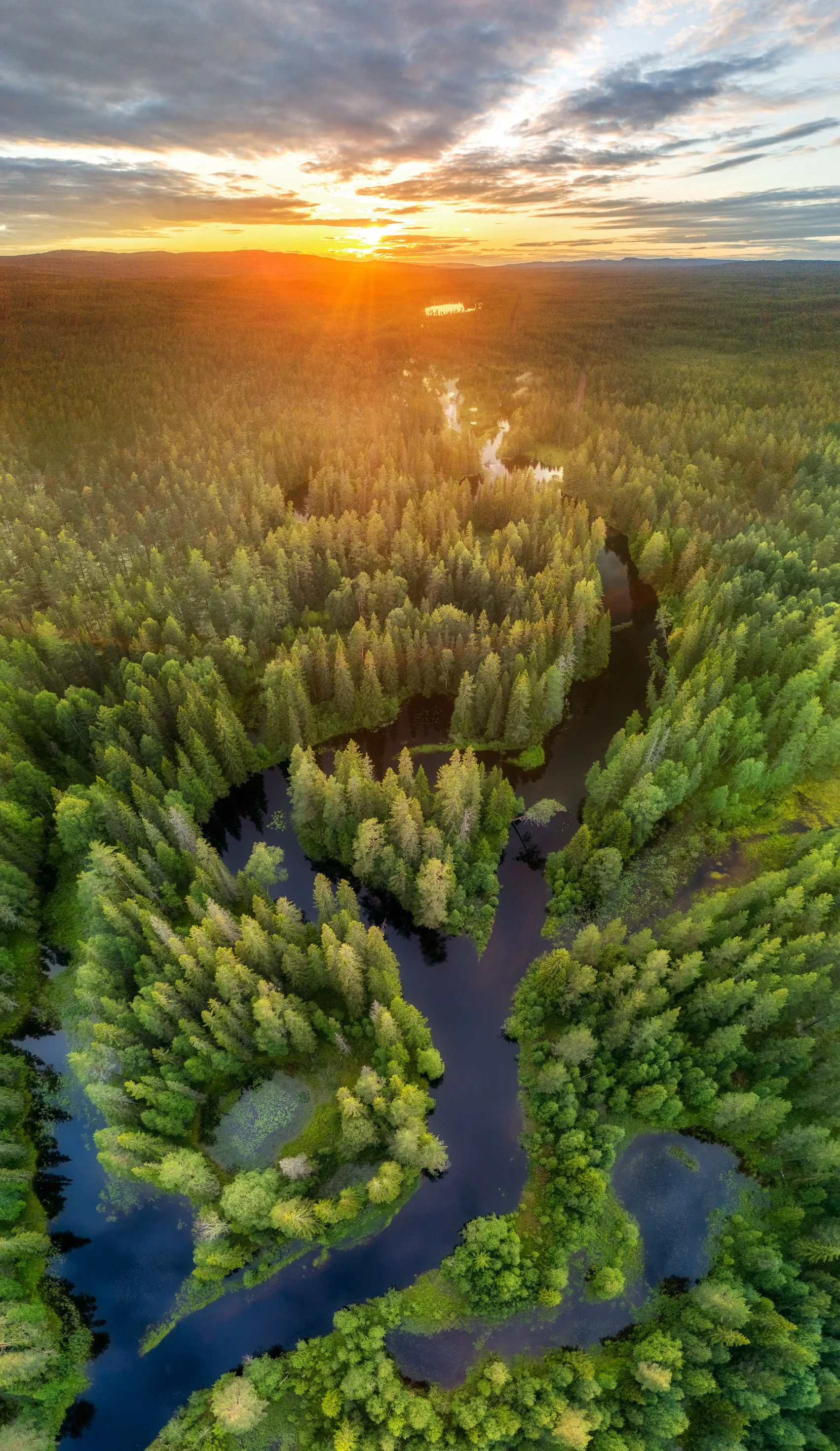 Aerial view of a dense green forest with winding rivers, captured at sunset with the sun near the horizon and the sky filled with clouds.