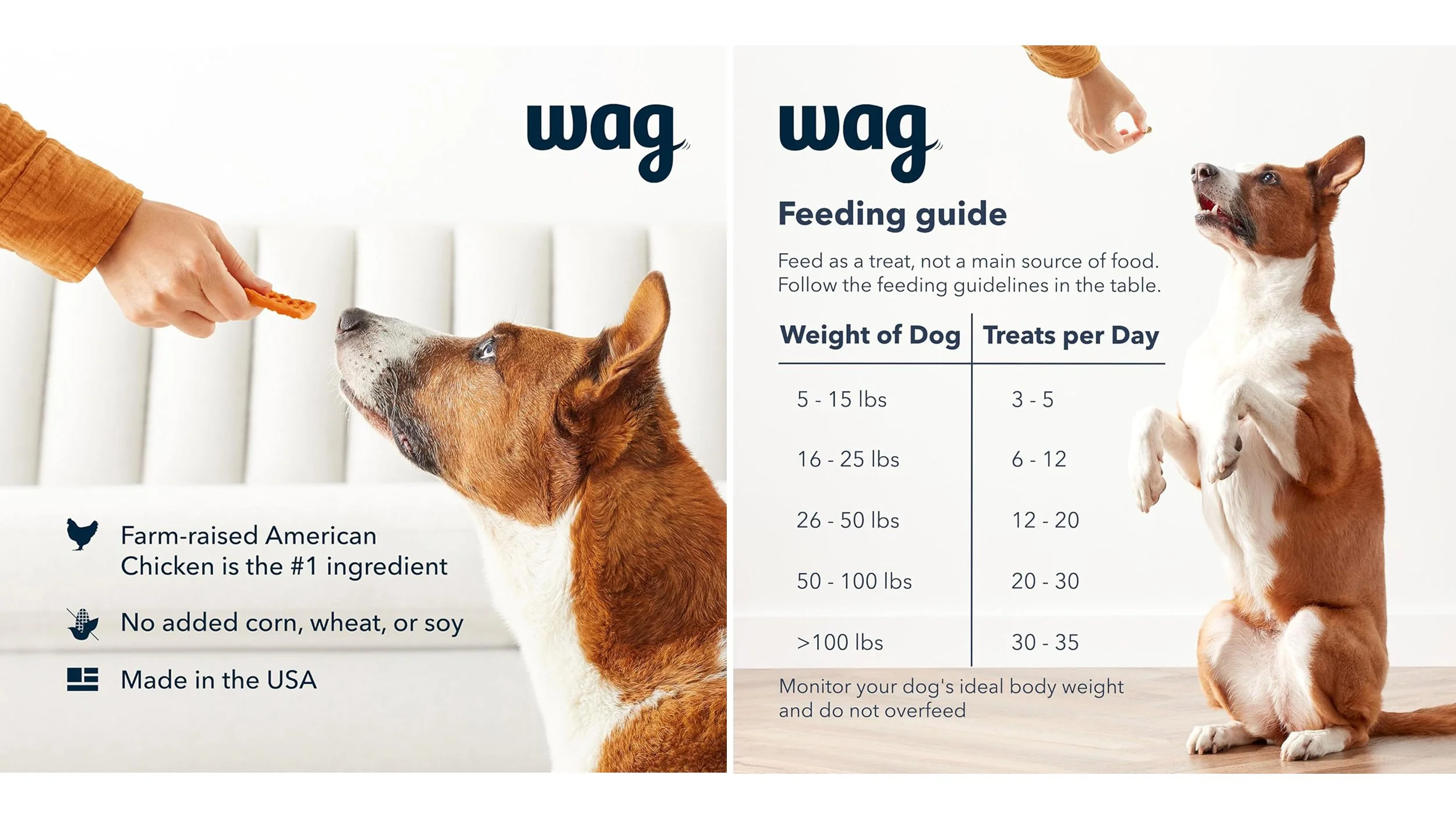 wag_1.jpg