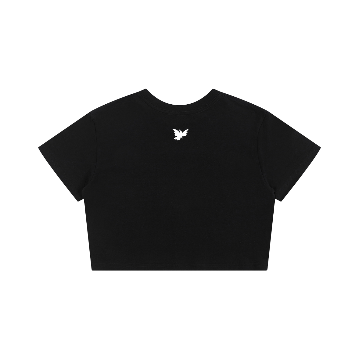 squarespace-upload-temp-2026-06-17-e1f1b272-6fa8-4565-8d1f-121cb669357c8396410775337235951.png