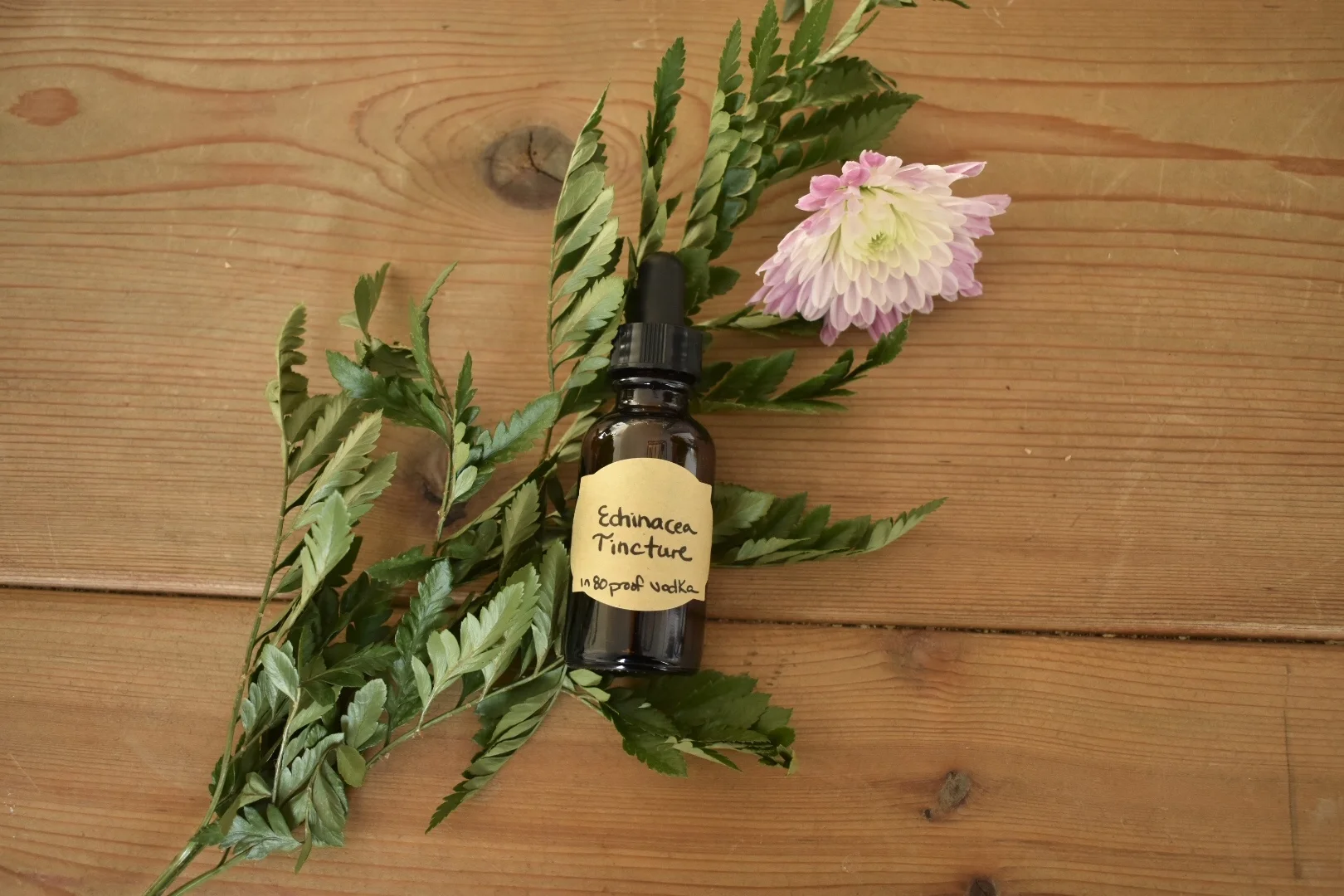 My Top Tips for Cold &amp; Flu Season