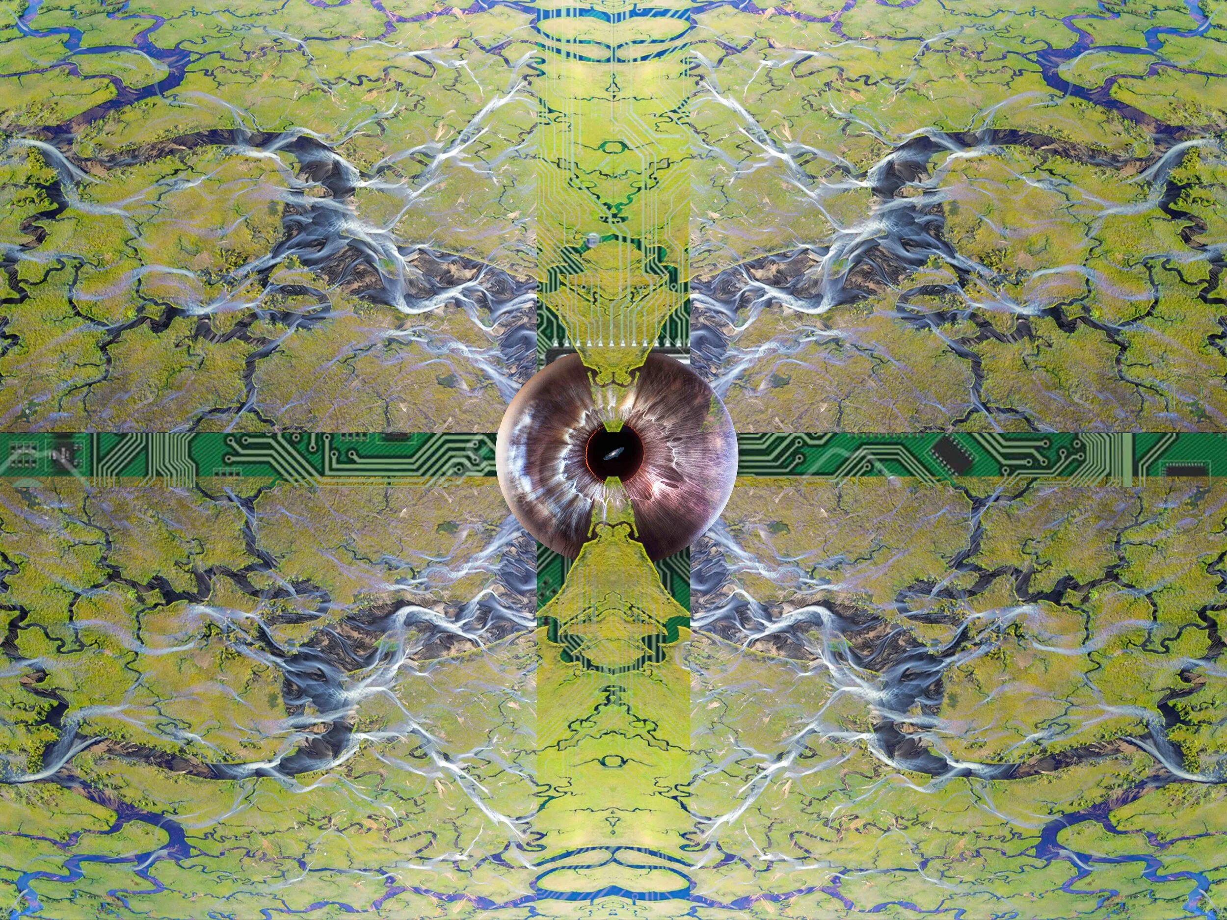 The Circuit of Us. Pt. 1 - The Earth.