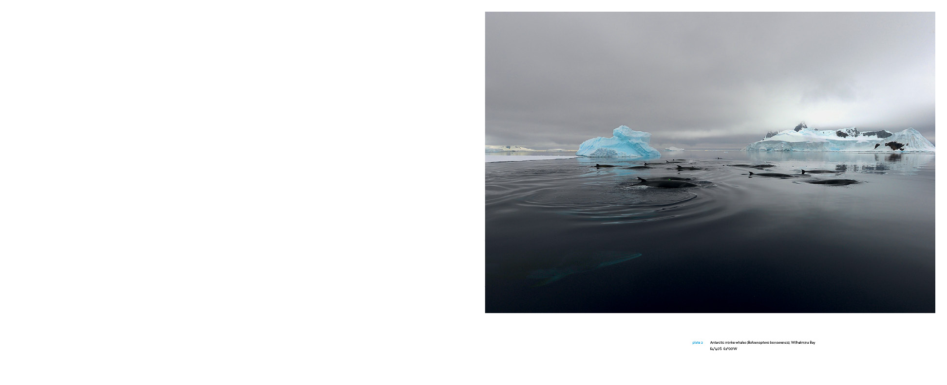 Antarctica_v13_4.jpg