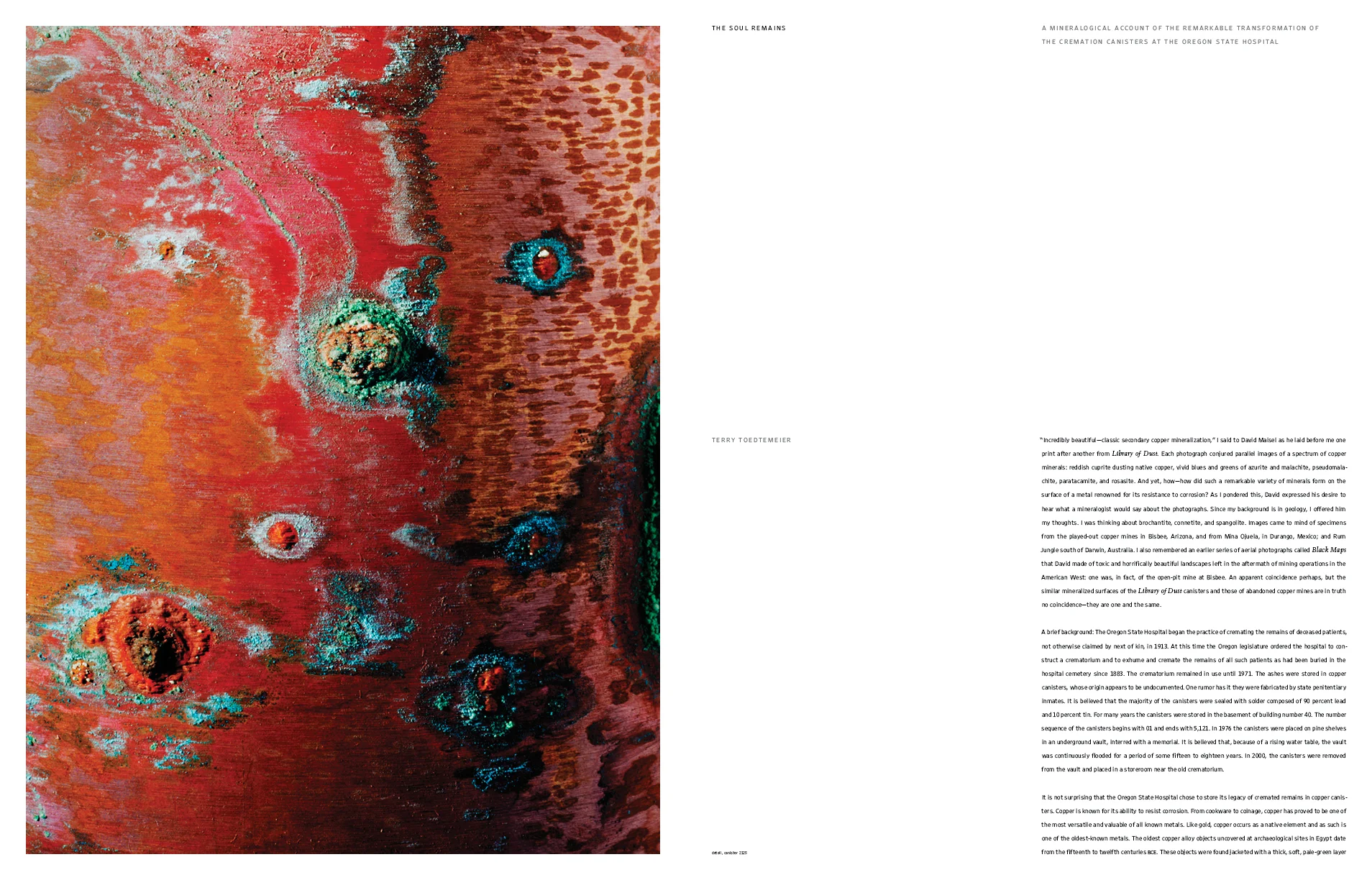 library_of_dust_8.jpg