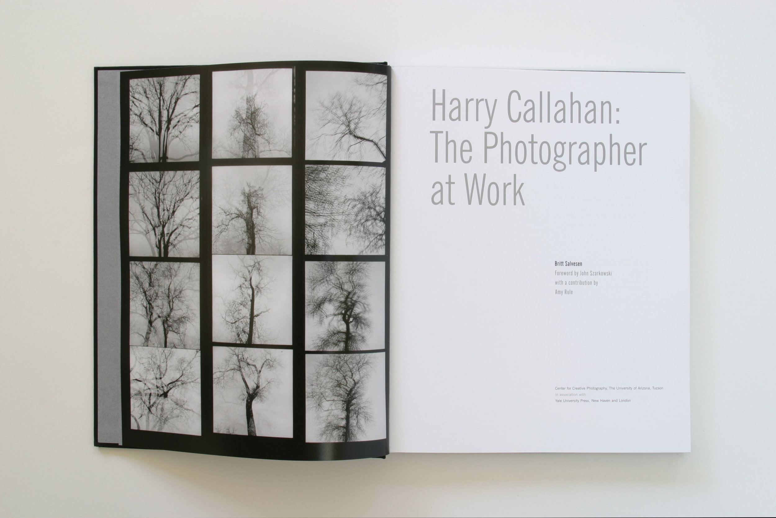 Harry Callahan: The Photographer at Work — Aufuldish & Warinner
