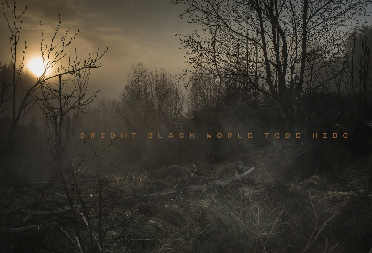 Hido_Bright-Black-World_CASE_72ppi.jpg
