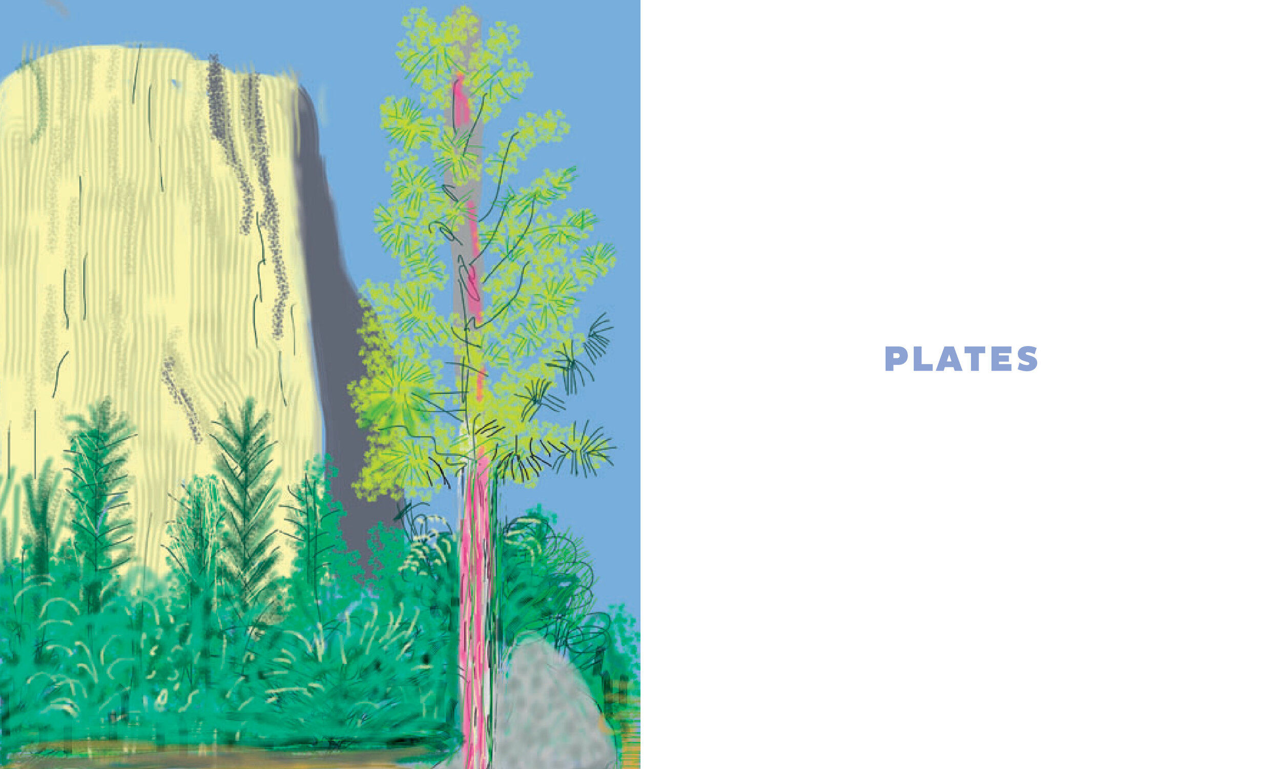 Hockney_plates_1.jpg