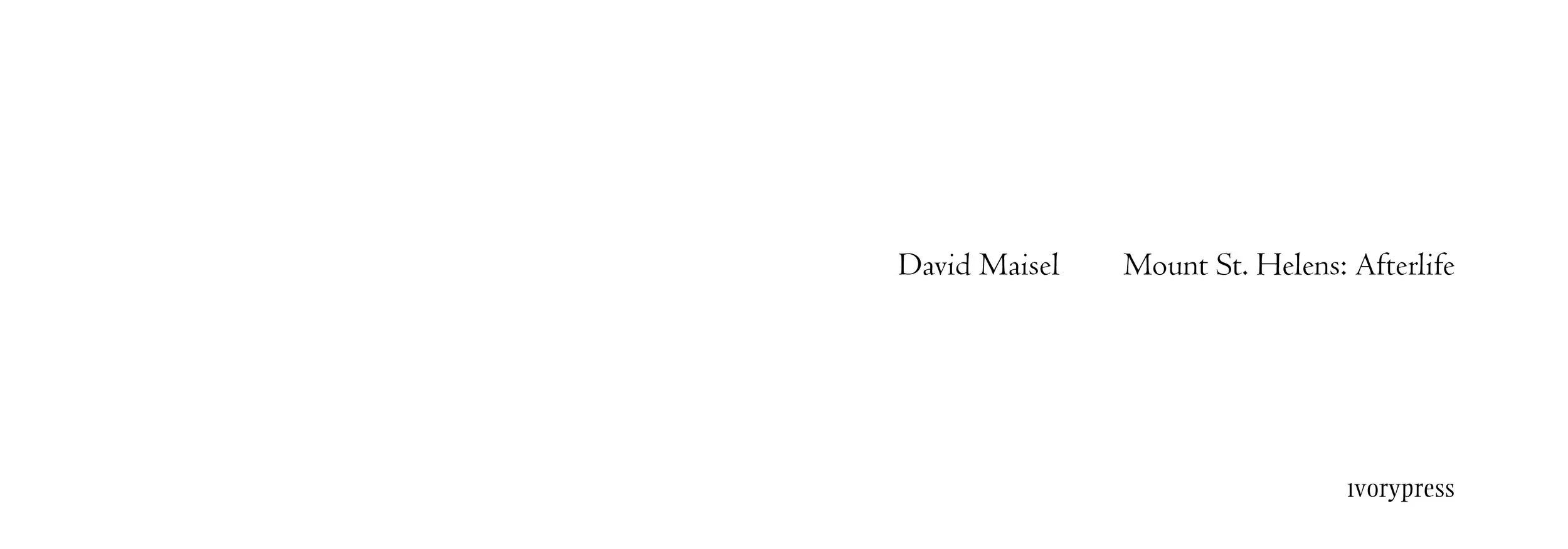 LiberArs_David_Maisel_300ppi_1.jpg