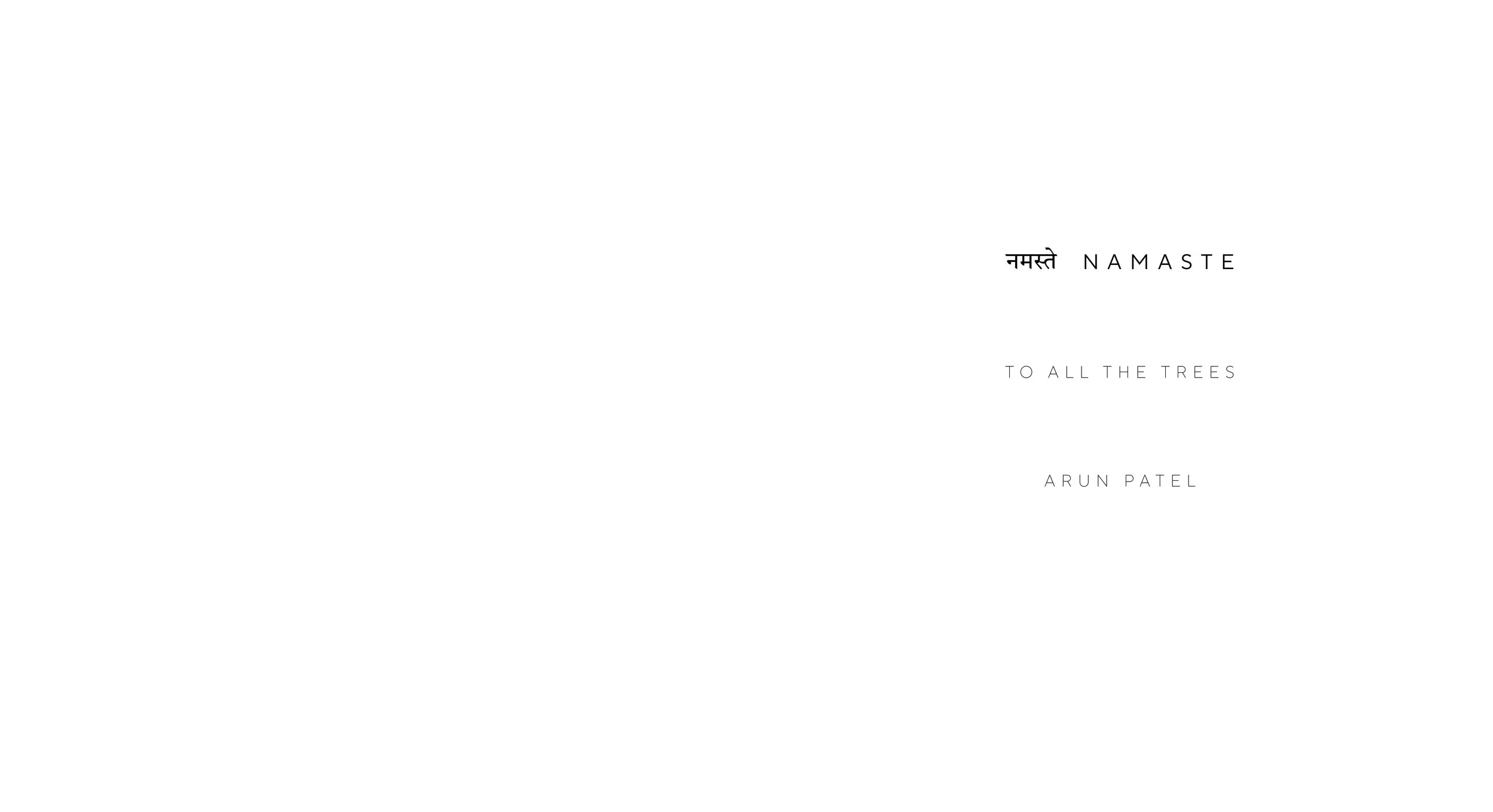 Arun_Patel_Namaste_v15_300ppi_1.jpg