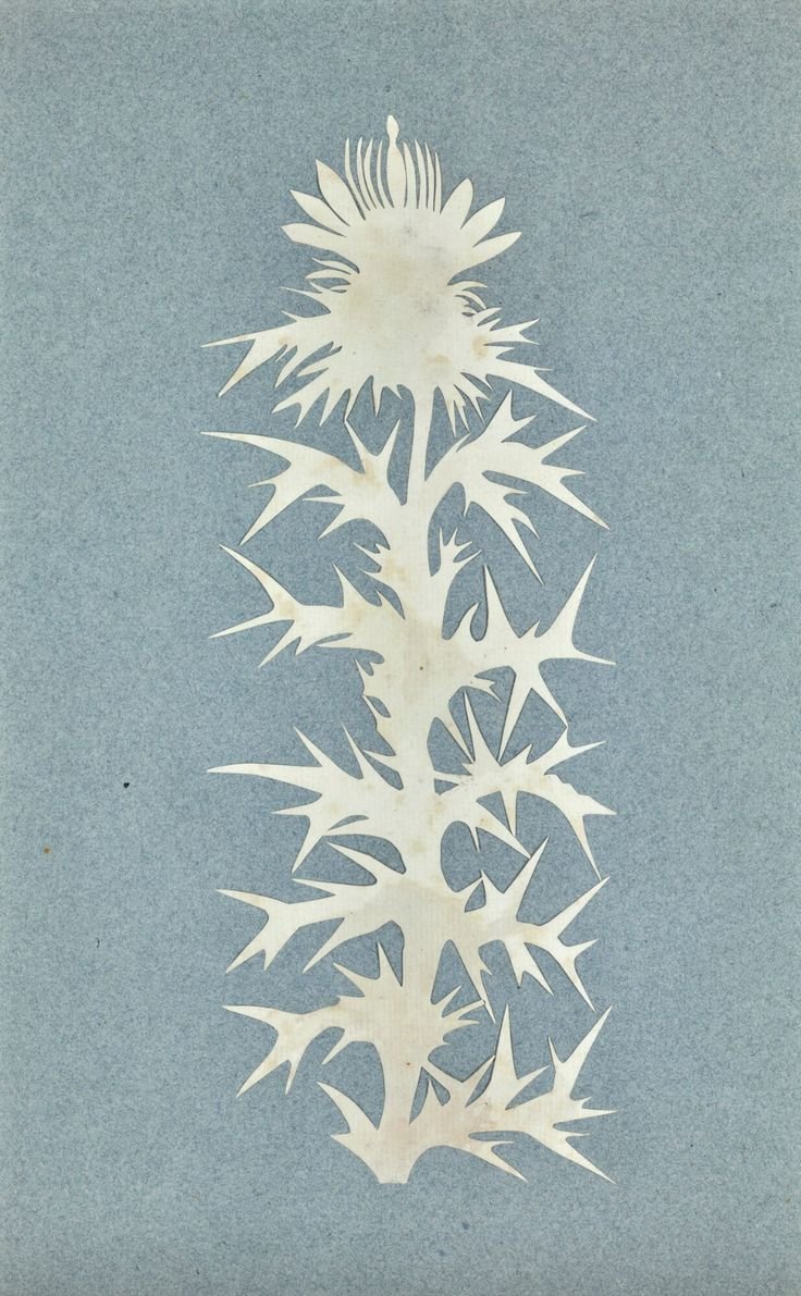 (#2) PHILIPP OTTO RUNGE | Thistle.jpg