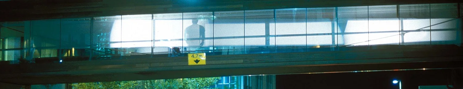 10.as2002 scrim.jpg