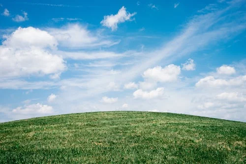 skyfiled.jpg