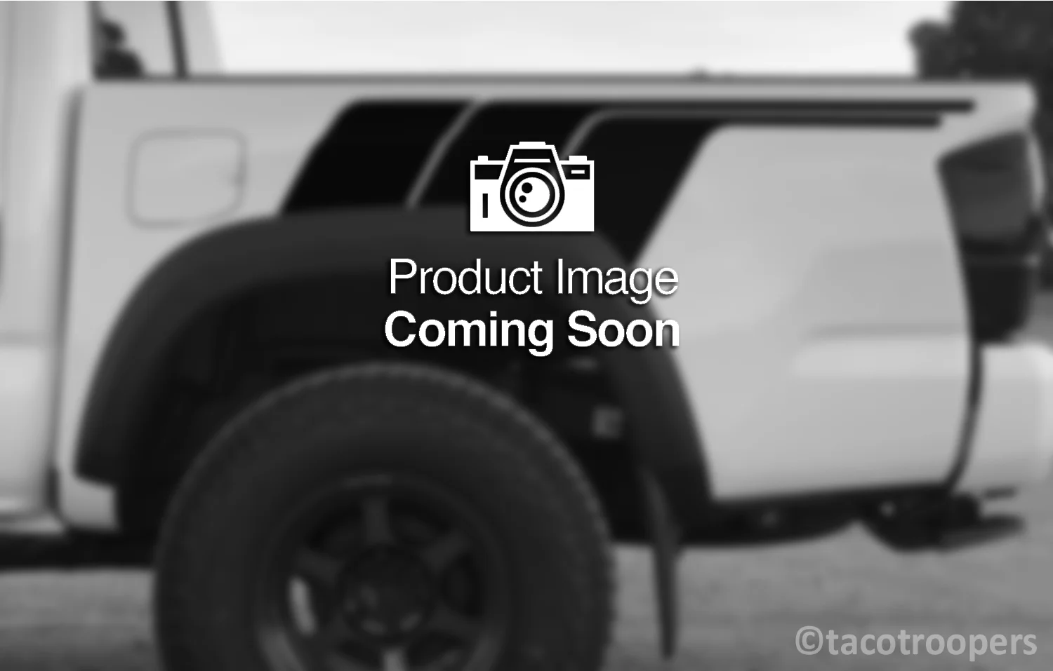 Custom Color Combination - "B. T. F" side stripes (rear)