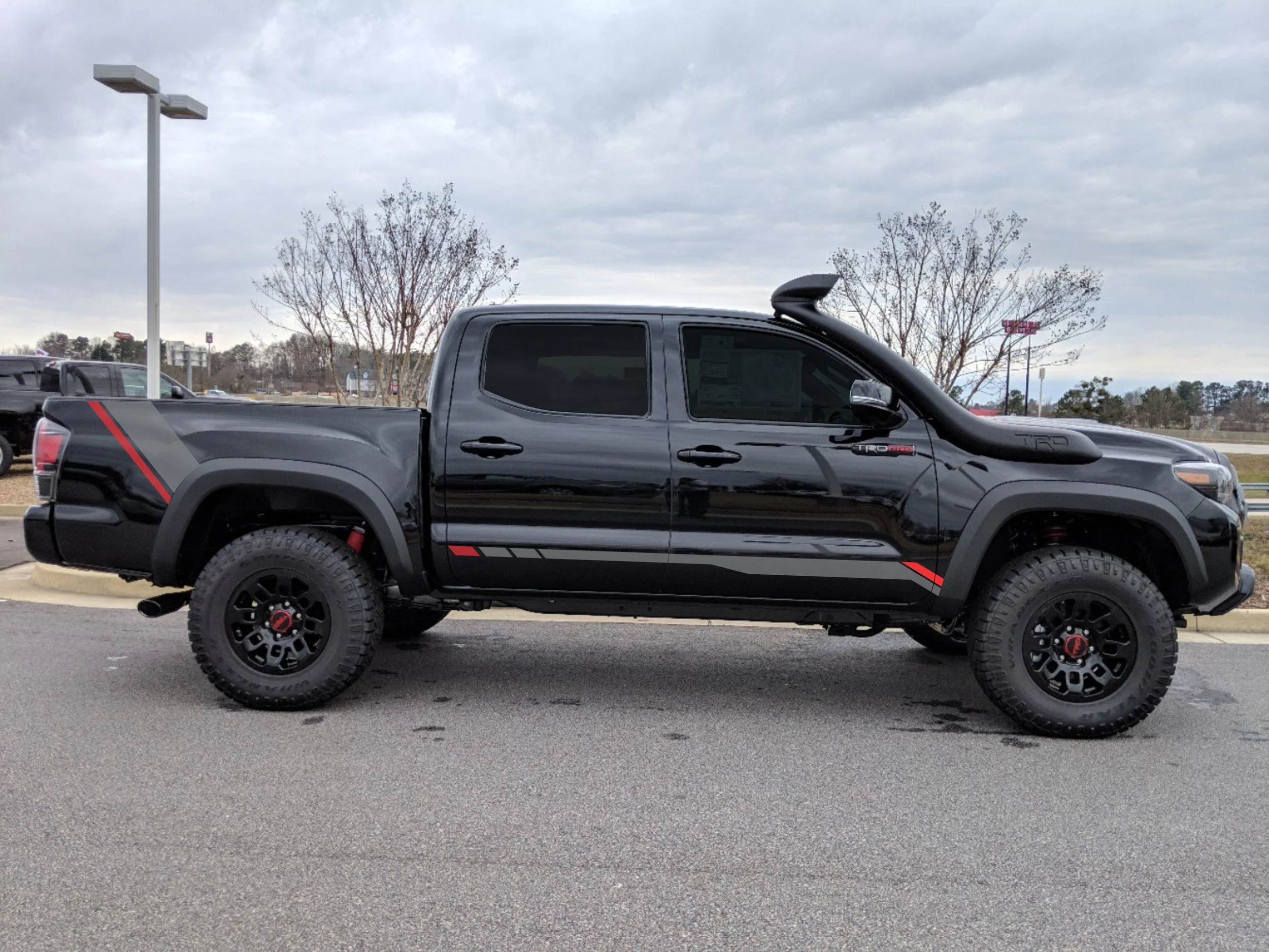 "La Sportiva" stripe kit (bedside stripes+ side stripes)