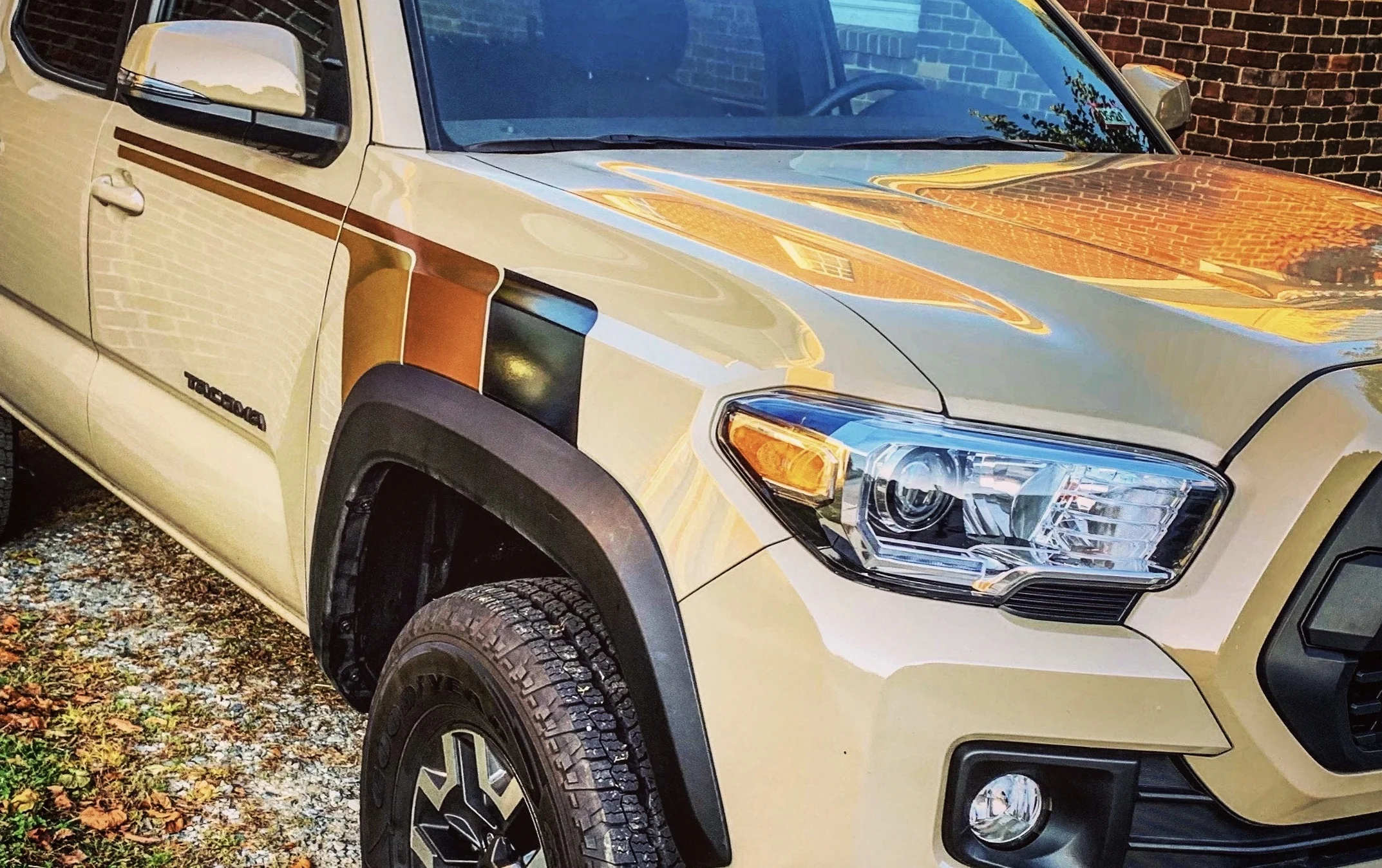 Quicksand theme - "B. T. F" side stripes (front)