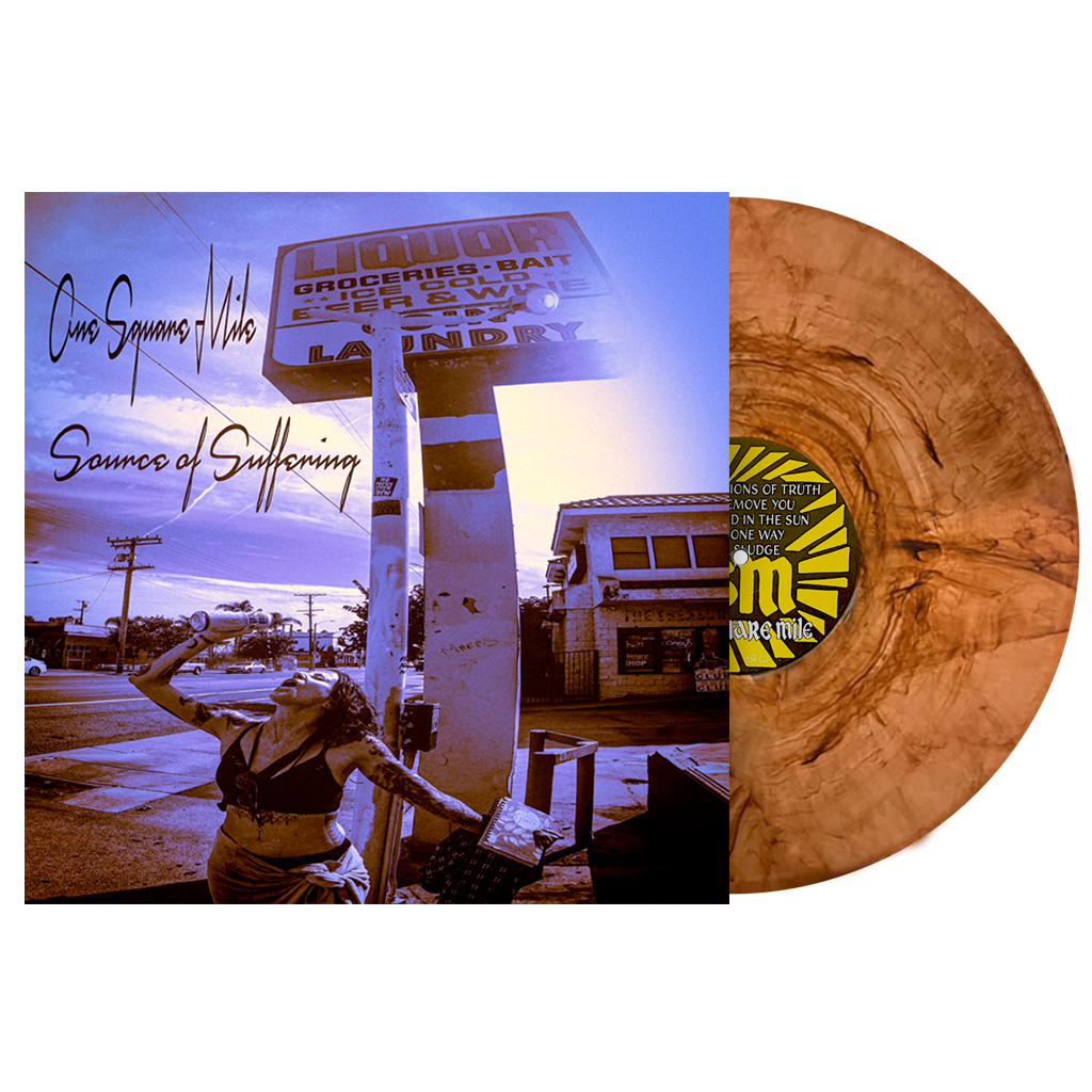 Vinyl Setup_Brown.PNG