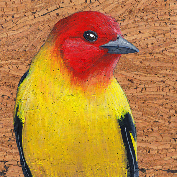 tanager.jpg