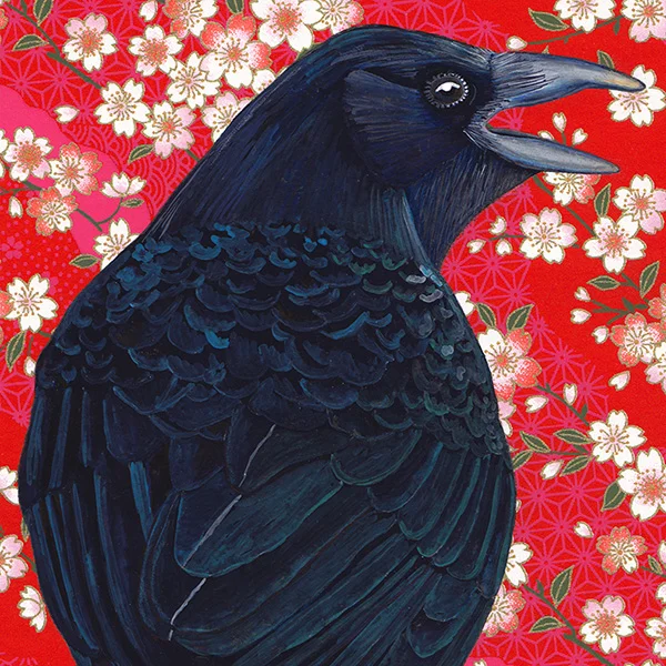 crow.jpg